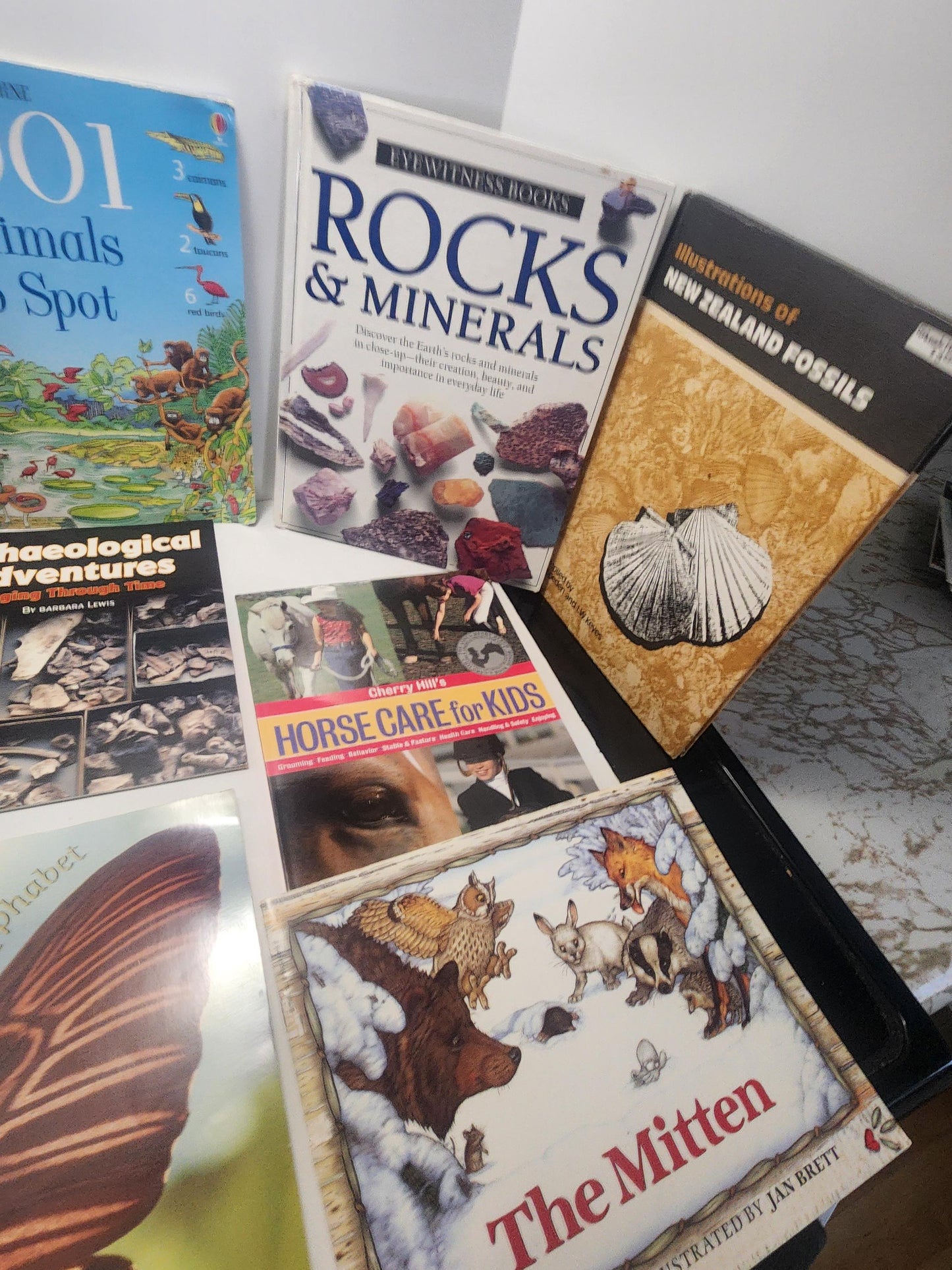 Educational Children's Book Lot - Butterflies - Horses - Scholastic - Kids Books - Children's Books - Book Lot - School Books - Butterflies