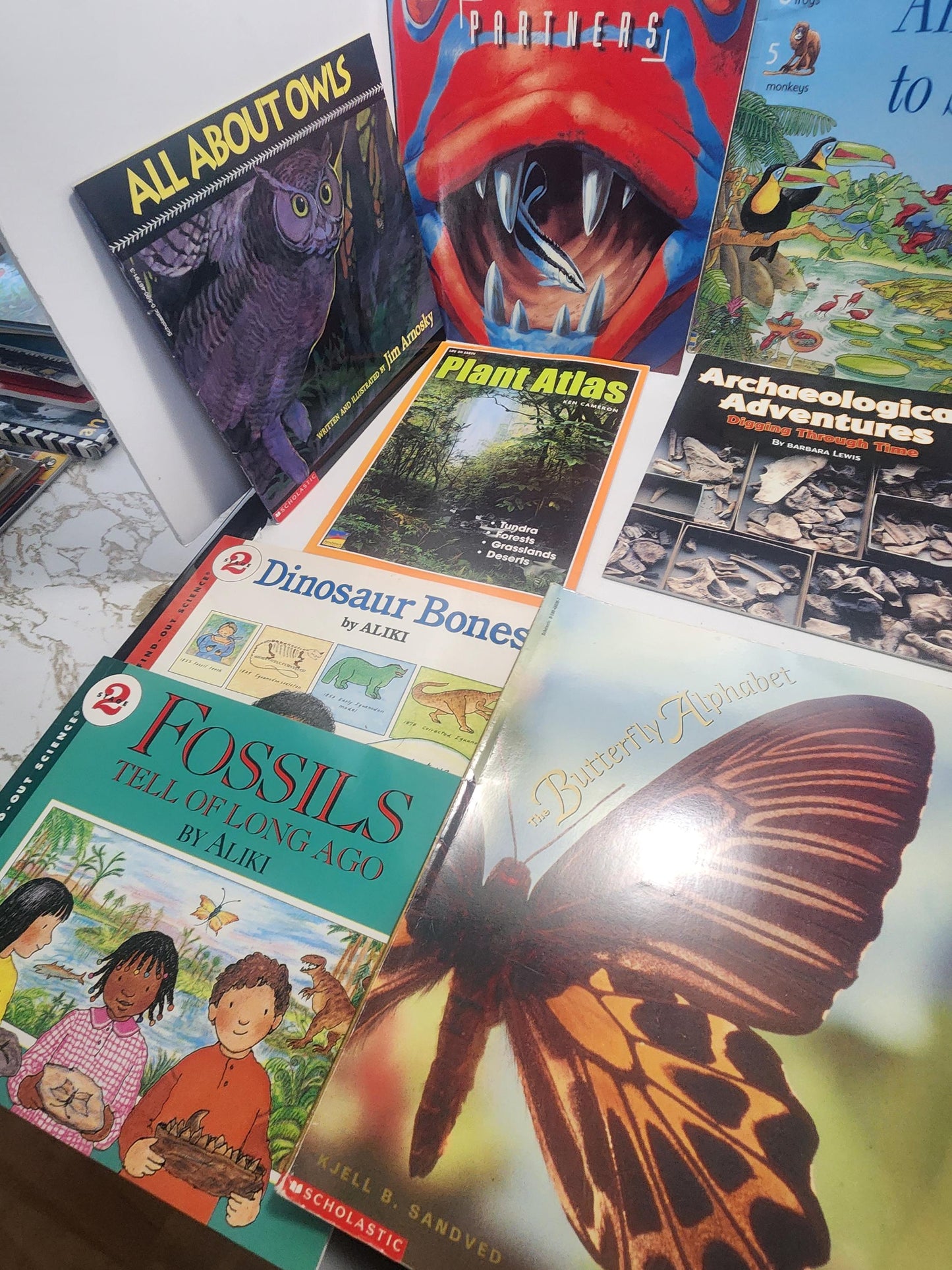 Educational Children's Book Lot - Butterflies - Horses - Scholastic - Kids Books - Children's Books - Book Lot - School Books - Butterflies