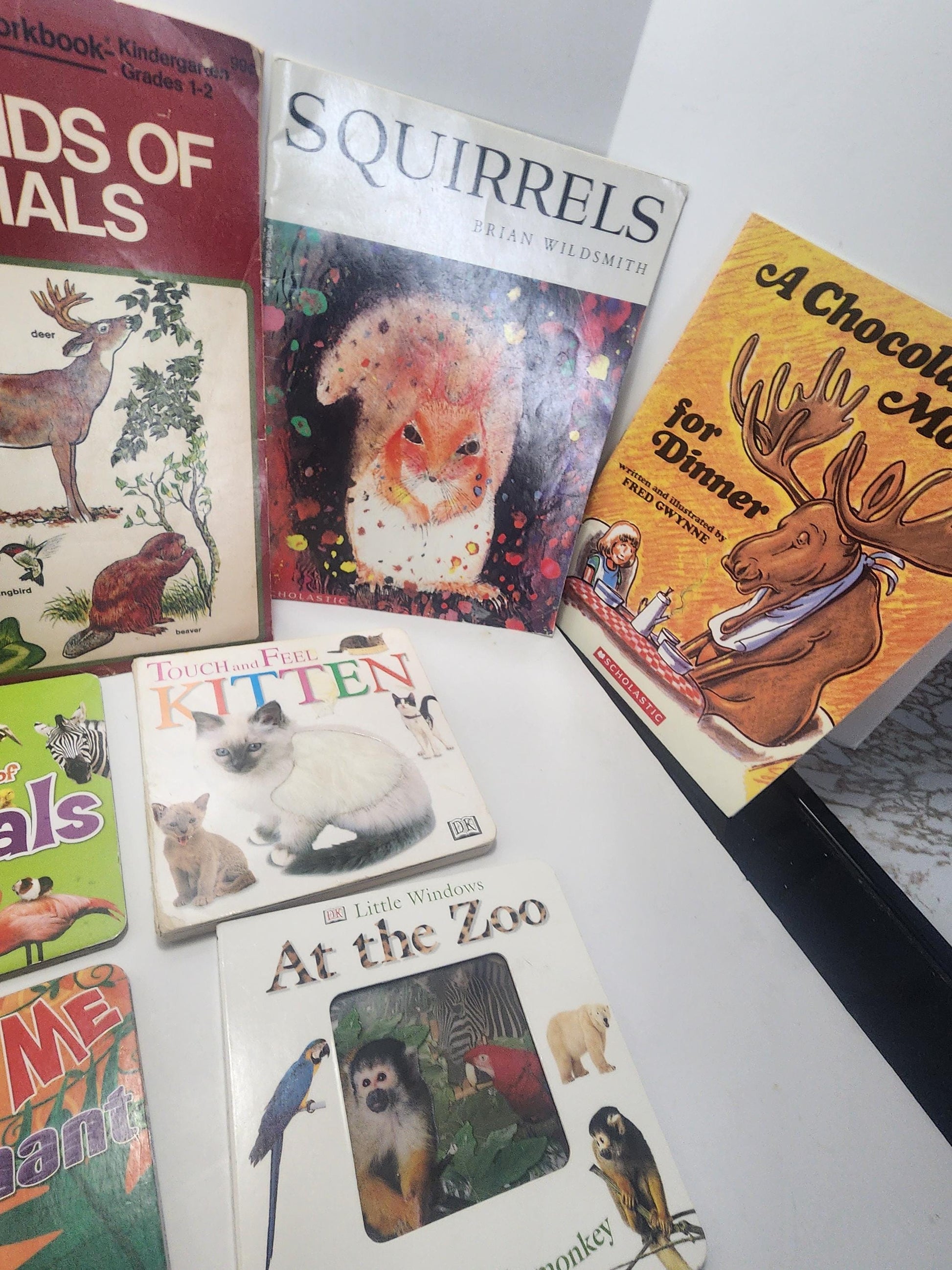 Animal Children's Books LOT - Books - Educational Books - Children's Books - Animals - Cats - School - School Books - Scholastic Books