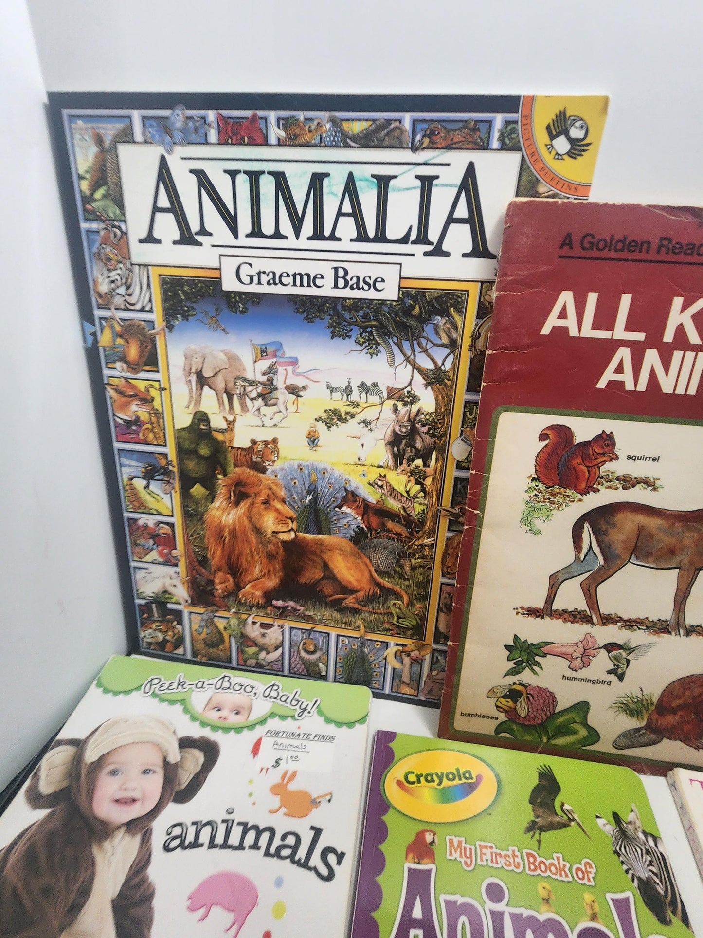 Animal Children's Books LOT - Books - Educational Books - Children's Books - Animals - Cats - School - School Books - Scholastic Books