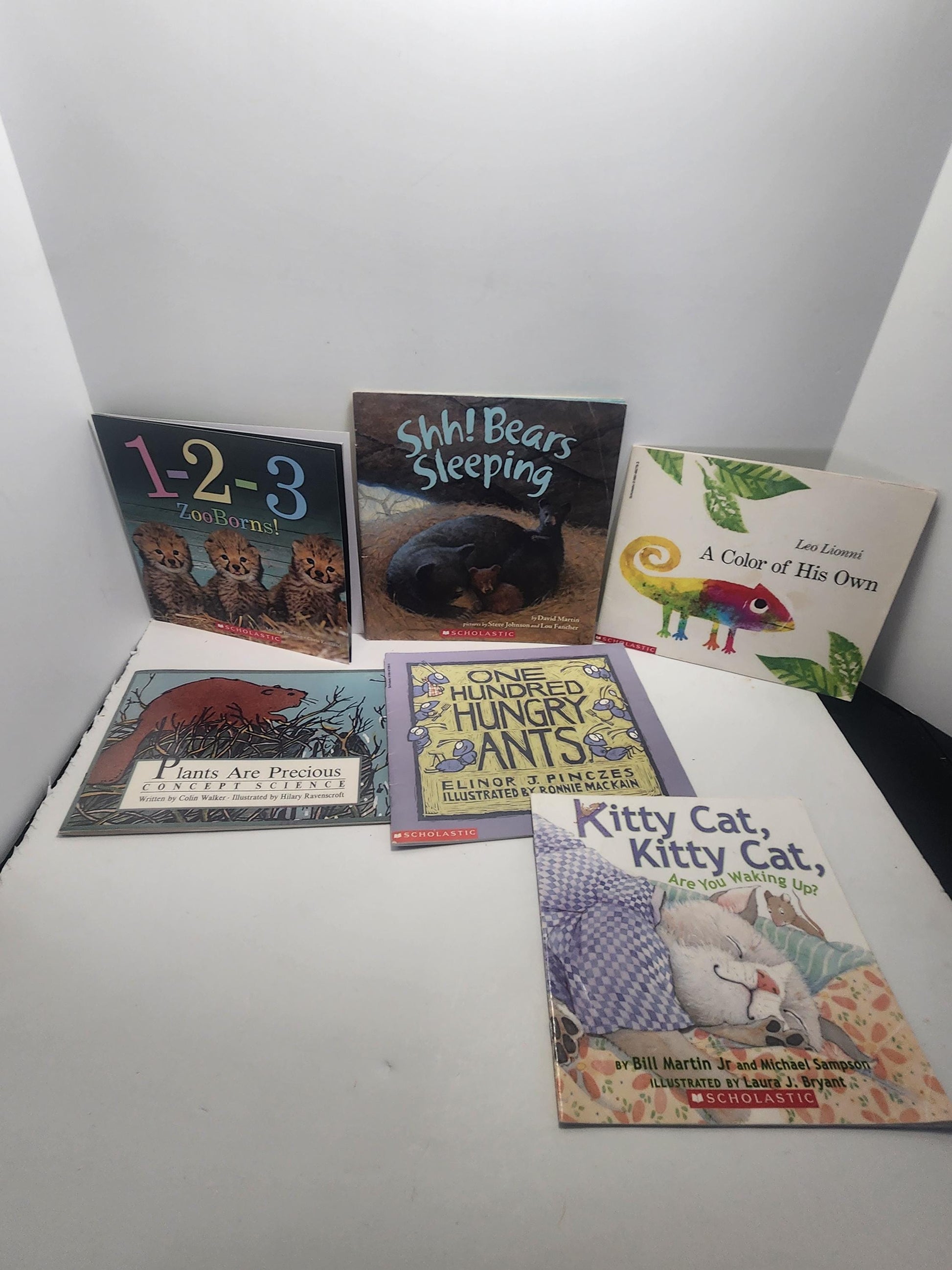 Animal Children's Books LOT - Animals - Animal Books - Scholastic - Scholastic Books - Book Lot - Educational Books - School - Library Books