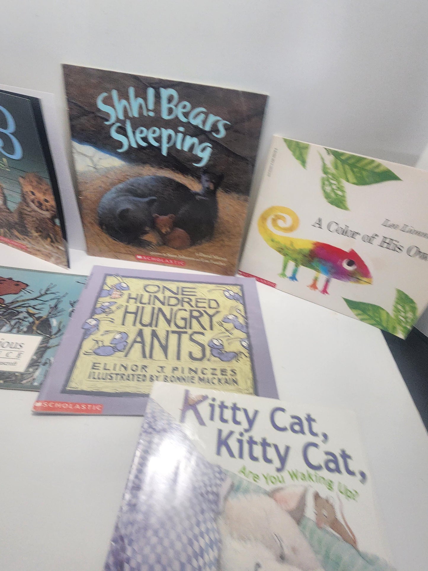 Animal Children's Books LOT - Animals - Animal Books - Scholastic - Scholastic Books - Book Lot - Educational Books - School - Library Books