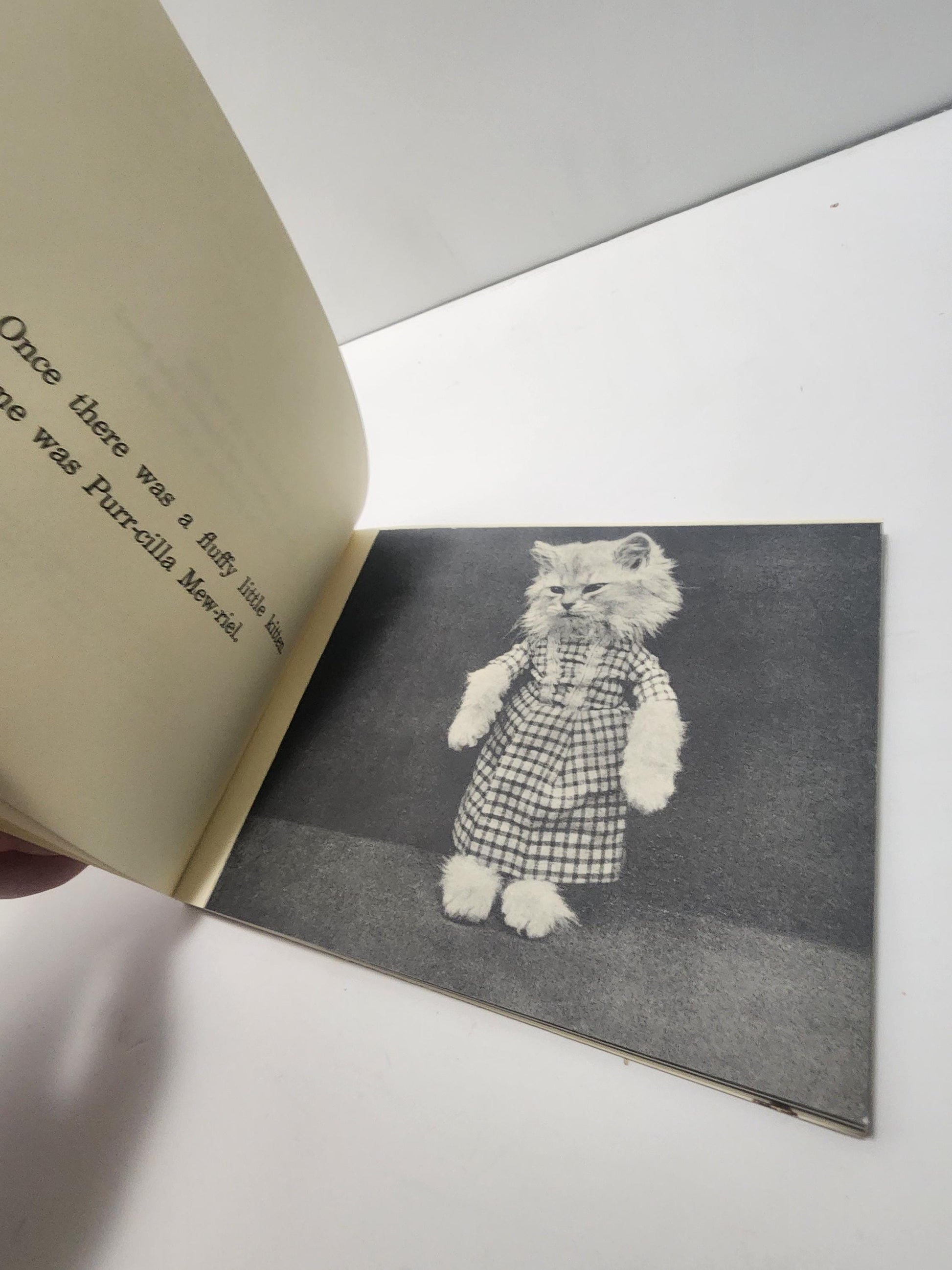 1991 Toodles And Her Friends By Harrier Whittier Frees - Cats - Dogs - Animals In Clothes - 1990s - Vintage Books