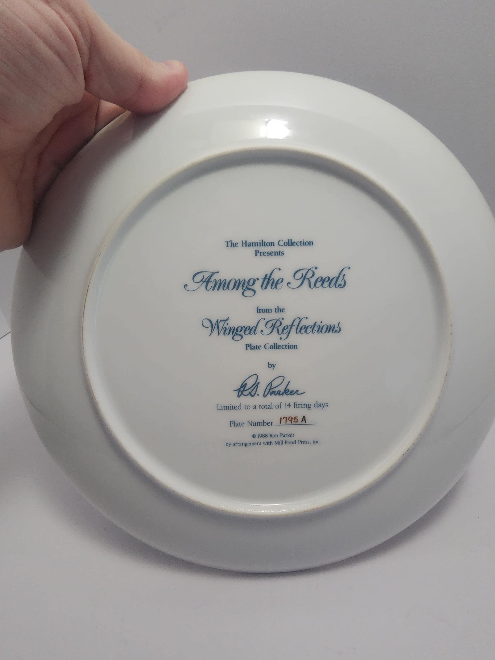 Beautiful Mallard Duck Collectable Plate From The Hamilton Collection - Collectable Plates - Plates - Hamilton Collection - Waterfowl - Duck