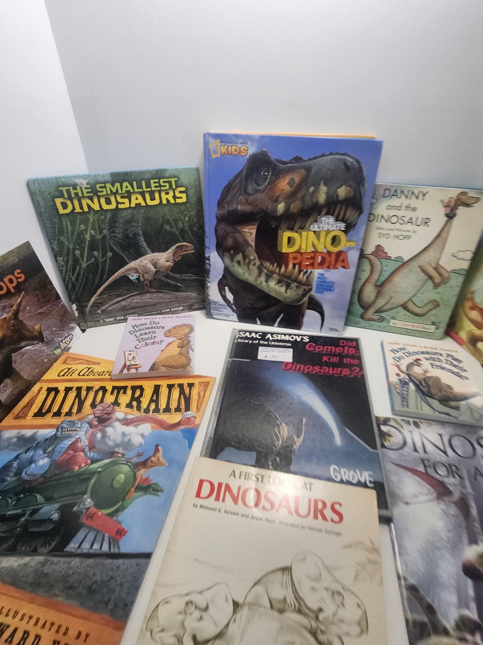 HUGE LOT Of Dinosaur Vintage Children's Books - Books - Dinosaurs - Dinosaur Gift - Dinosaur Books - Educational Books - Animals - Scholasti