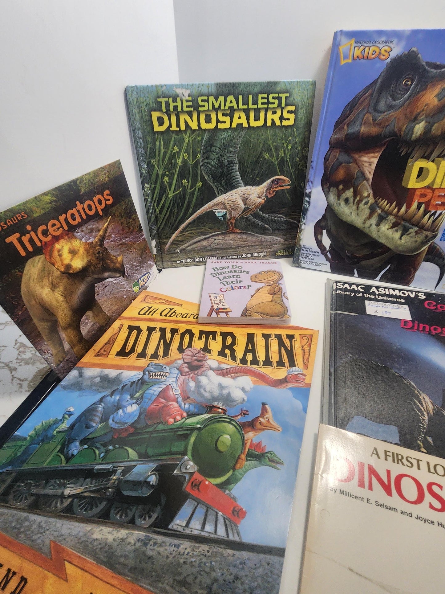 HUGE LOT Of Dinosaur Vintage Children's Books - Books - Dinosaurs - Dinosaur Gift - Dinosaur Books - Educational Books - Animals - Scholasti