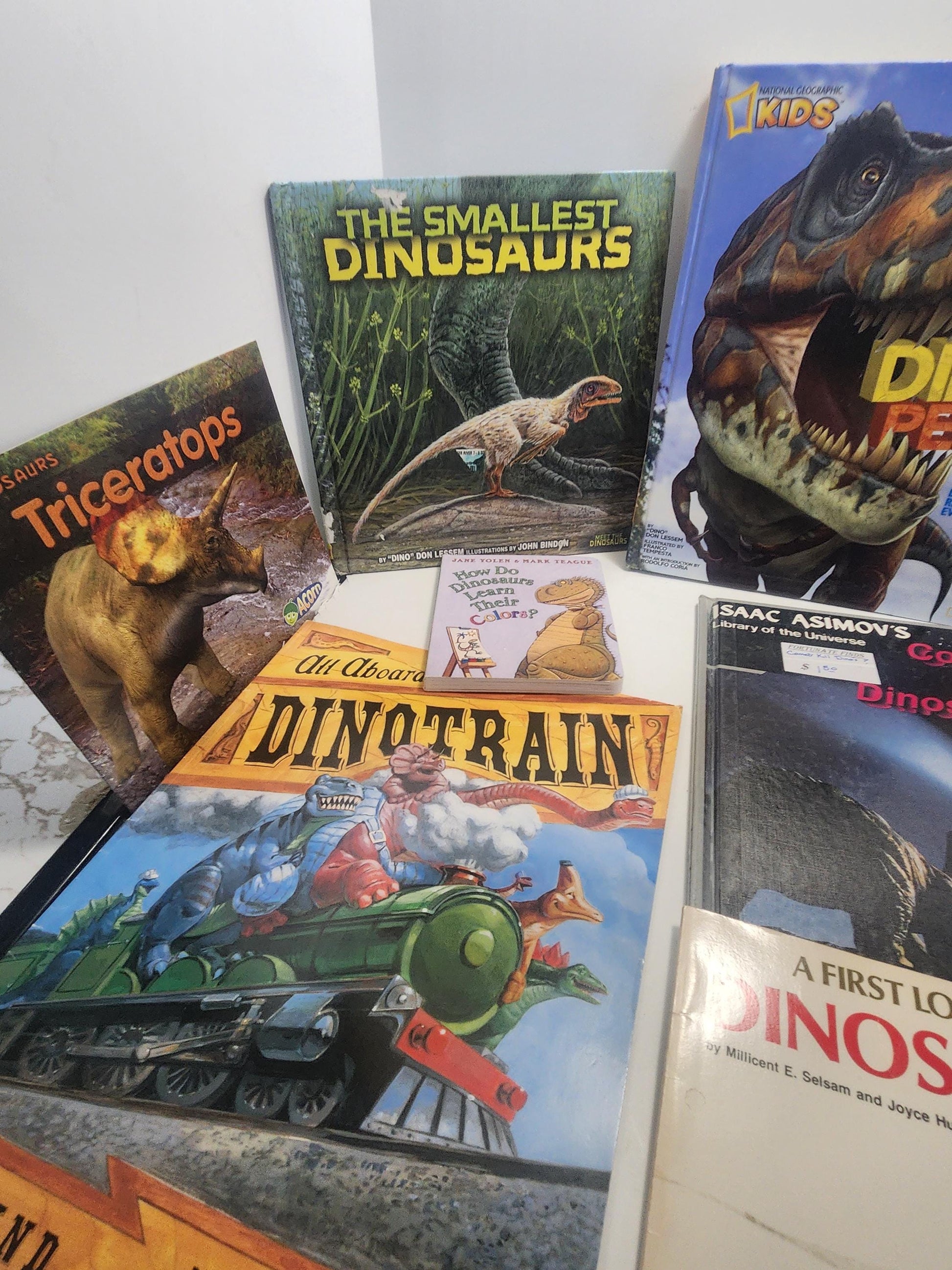 HUGE LOT Of Dinosaur Vintage Children's Books - Books - Dinosaurs - Dinosaur Gift - Dinosaur Books - Educational Books - Animals - Scholasti