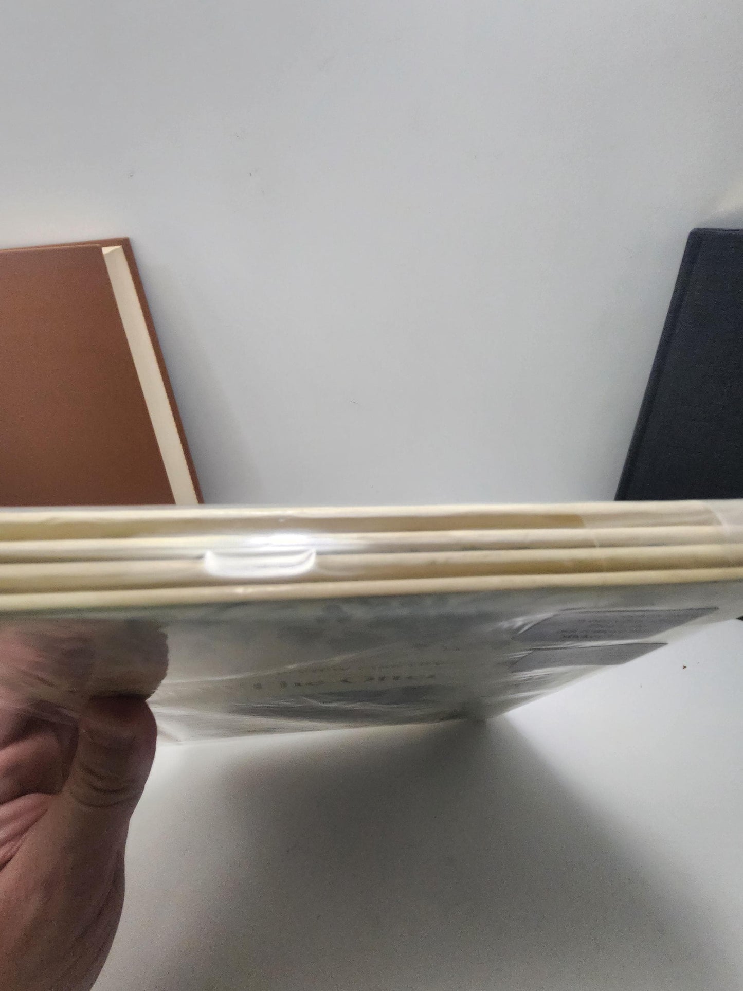 The Otter & The Butterfly LOT of 2 From Eye View Library - Vintage Books - Eye View Library - Animals - Animal Books - Butterflies - Otter