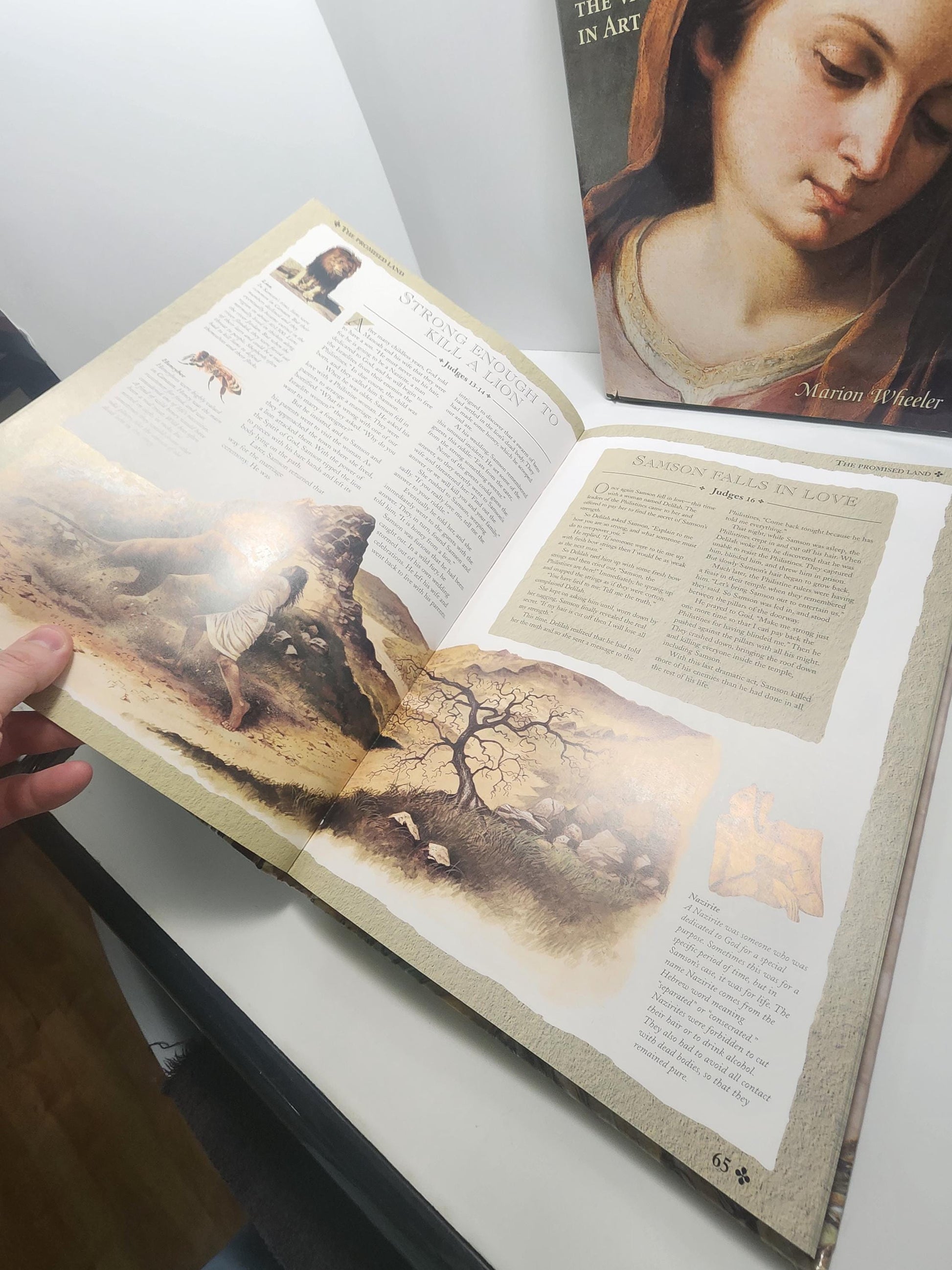 Religious Spiritual 1980s 1990s Books - Virgin Mary - Jesus - Religion - Religious Books - Where Jesus Walked - Art