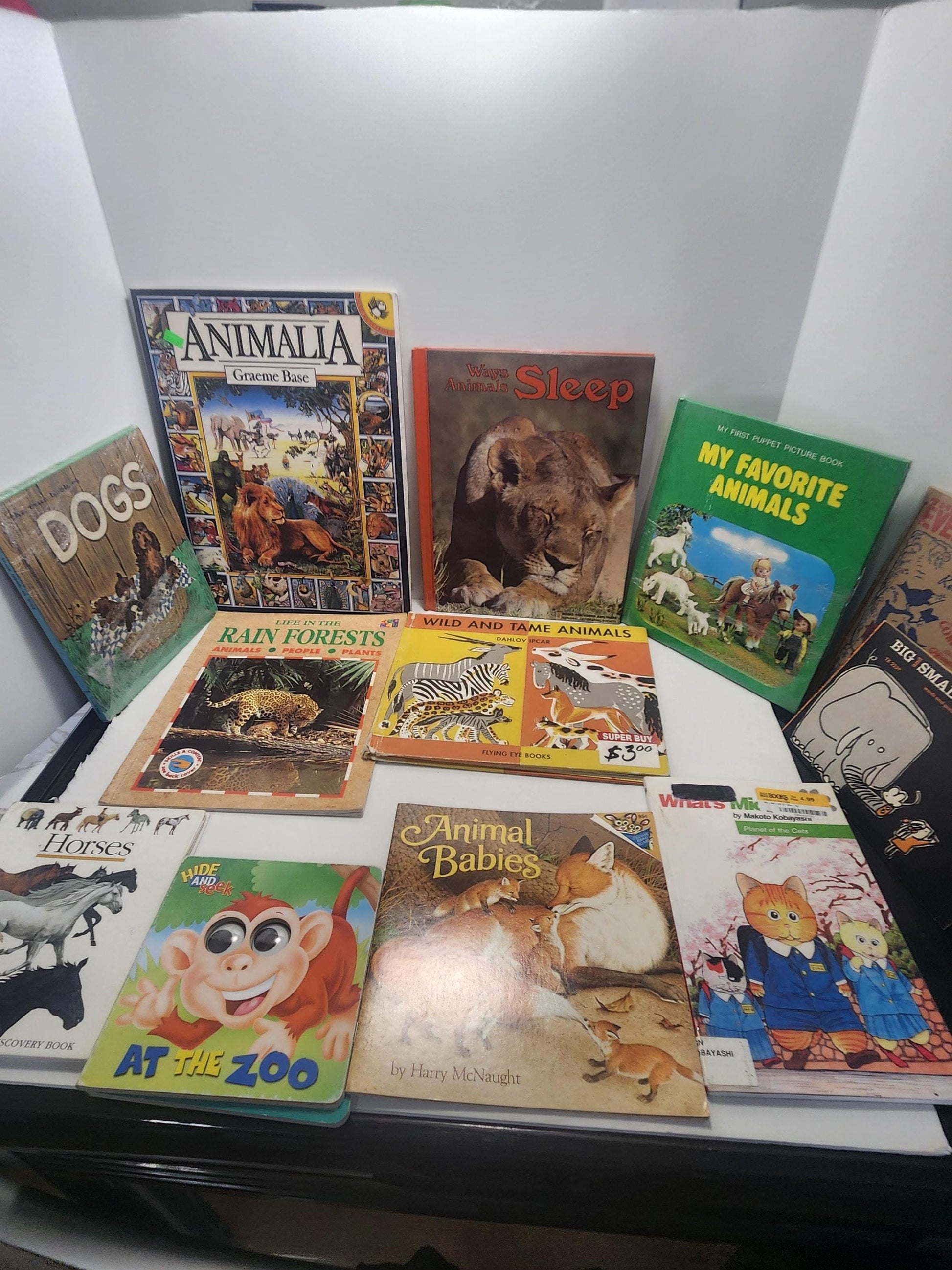 Childrens Animals Books Vintage LOT - Children's Books - Books - Book Lot - Animals - Animal Books - Jungle - Safari - Educational Books
