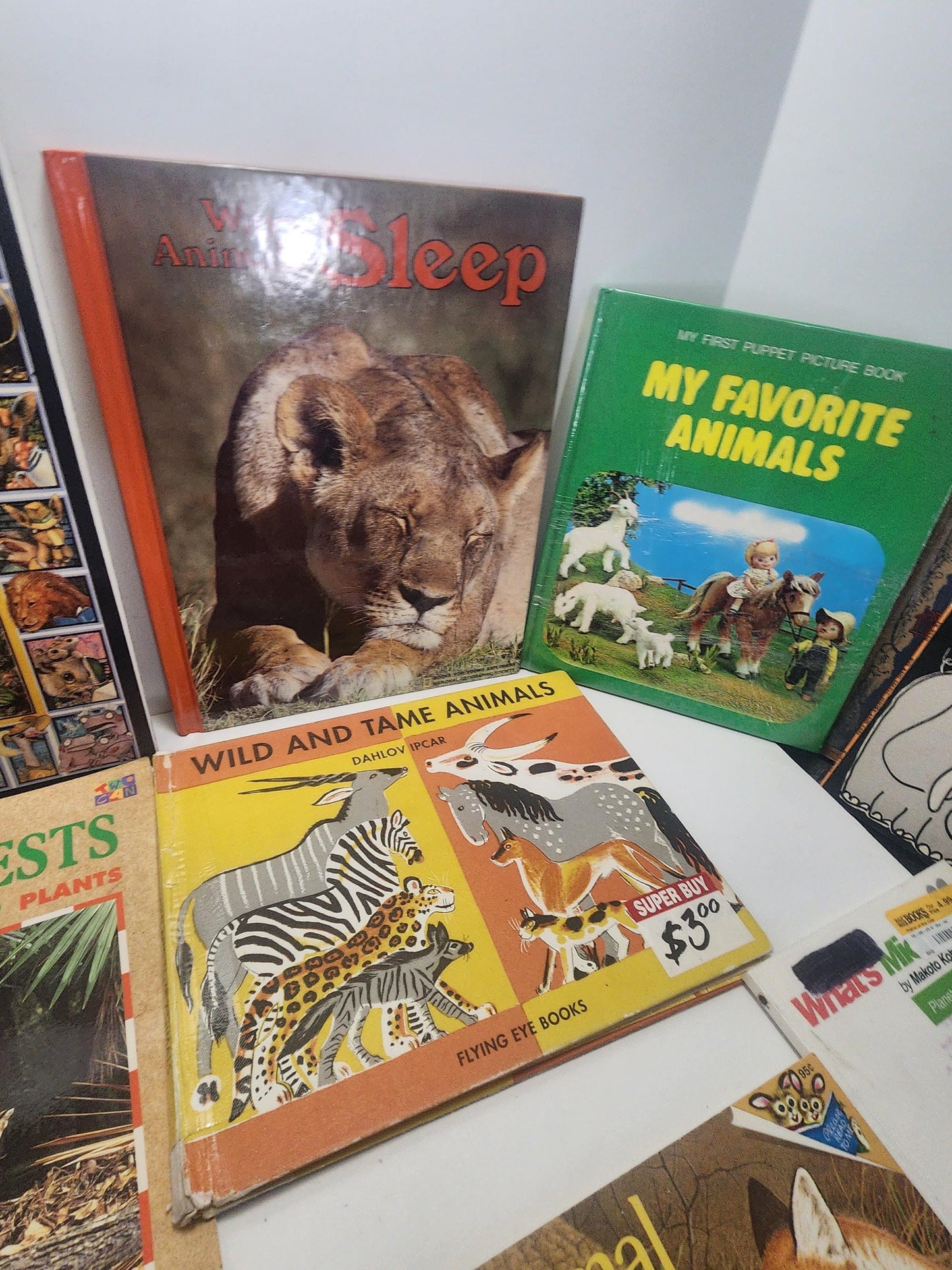 Childrens Animals Books Vintage LOT - Children's Books - Books - Book Lot - Animals - Animal Books - Jungle - Safari - Educational Books
