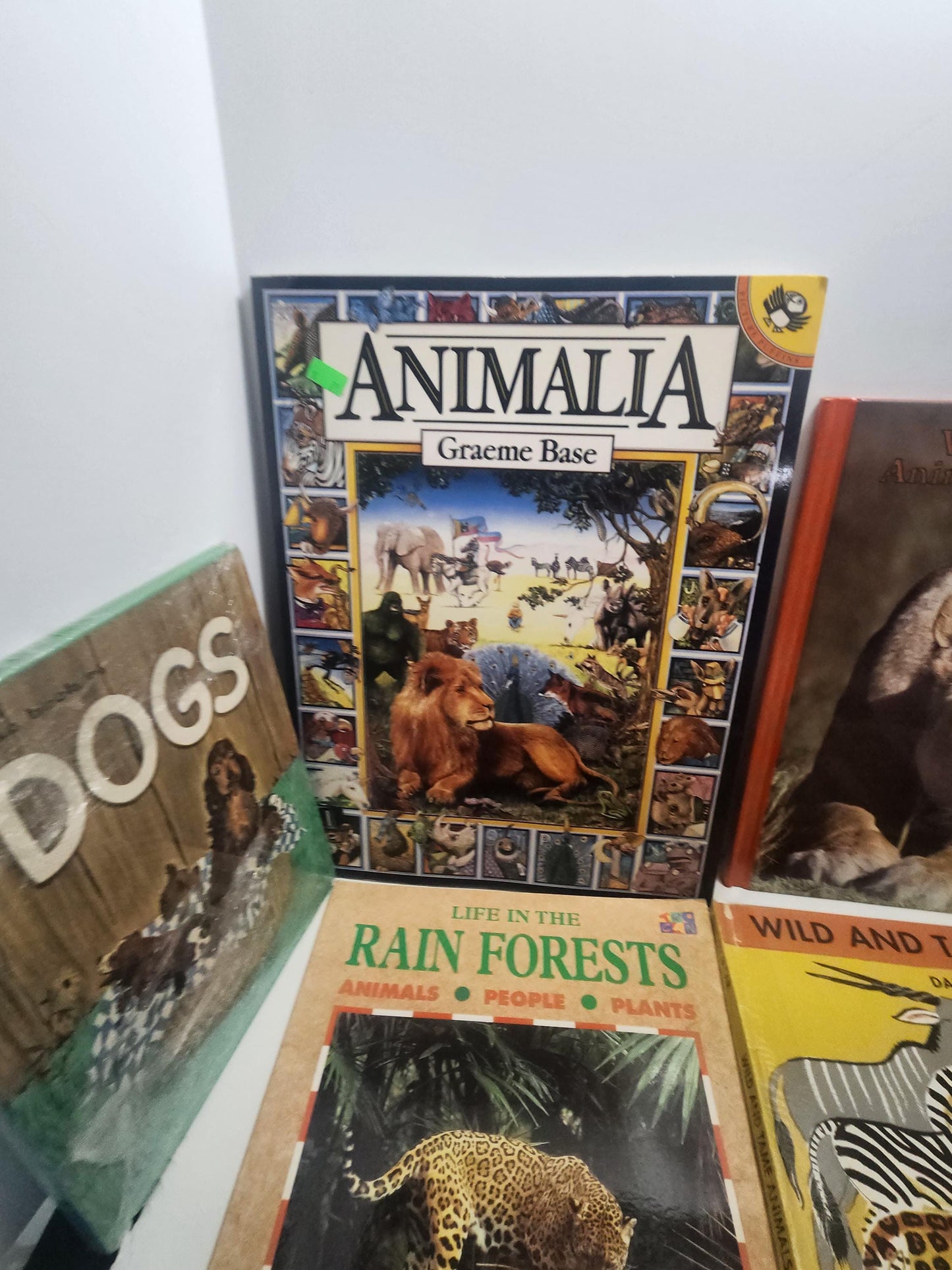 Childrens Animals Books Vintage LOT - Children's Books - Books - Book Lot - Animals - Animal Books - Jungle - Safari - Educational Books
