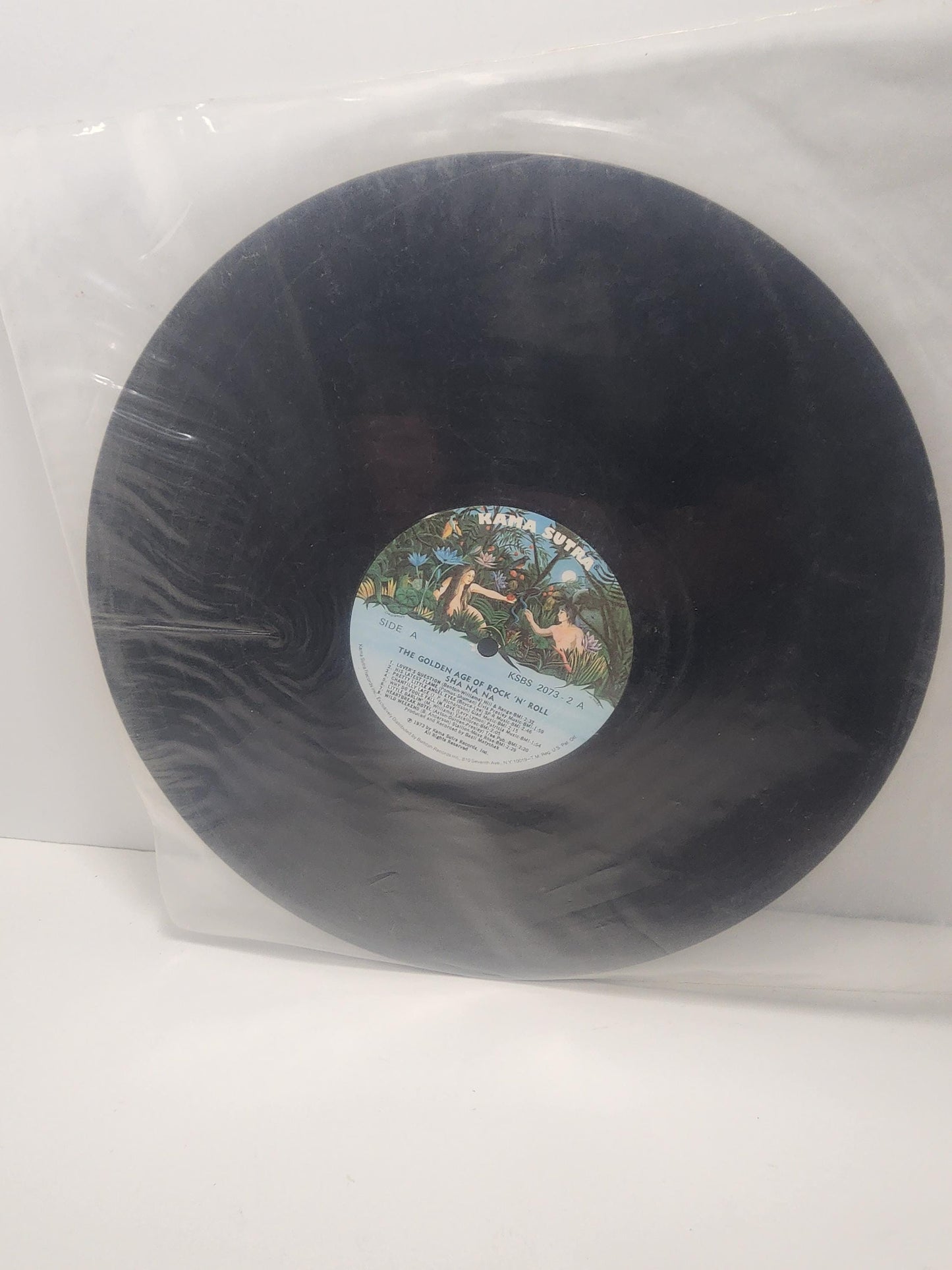 Kama Sutra Fire On The Mountain By Charlie Daniel's Band 1960s Vinyl Record - Records - LP Records - Vinyl - Vinyl Records - Kama Sutra