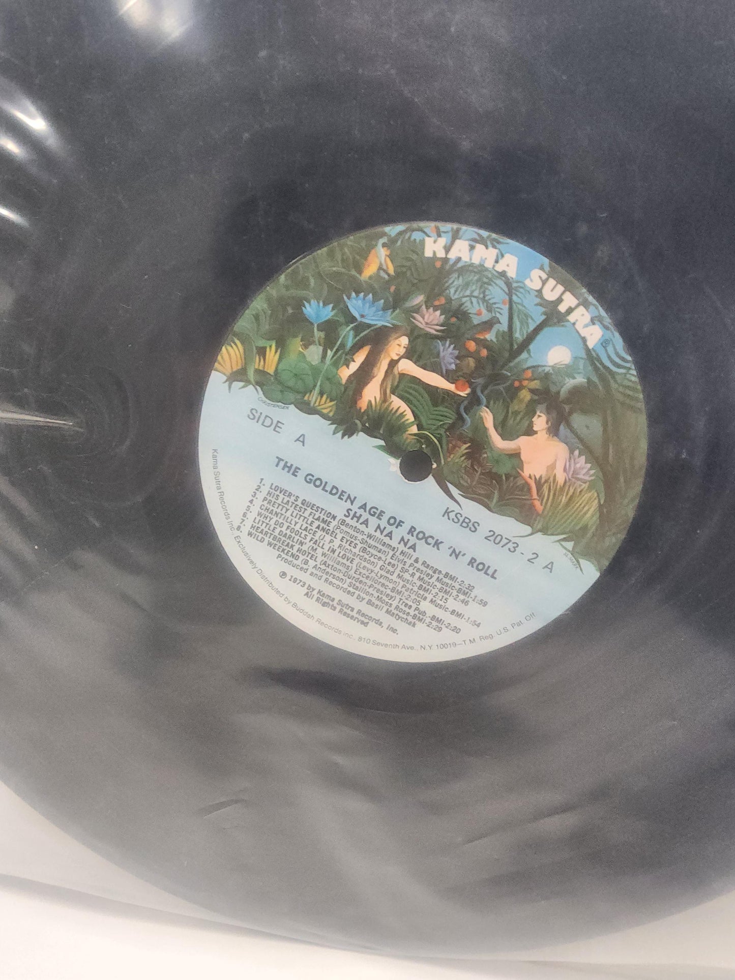 Kama Sutra Fire On The Mountain By Charlie Daniel's Band 1960s Vinyl Record - Records - LP Records - Vinyl - Vinyl Records - Kama Sutra