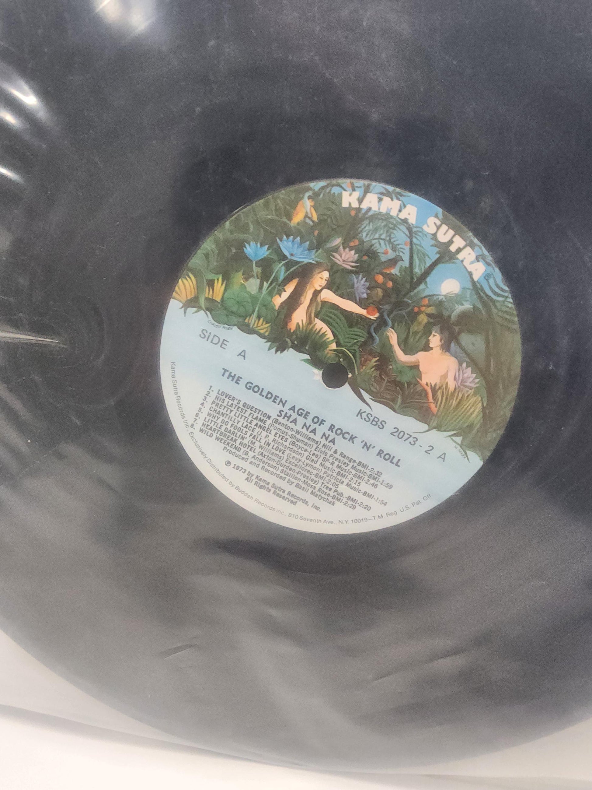 Kama Sutra Fire On The Mountain By Charlie Daniel's Band 1960s Vinyl Record - Records - LP Records - Vinyl - Vinyl Records - Kama Sutra