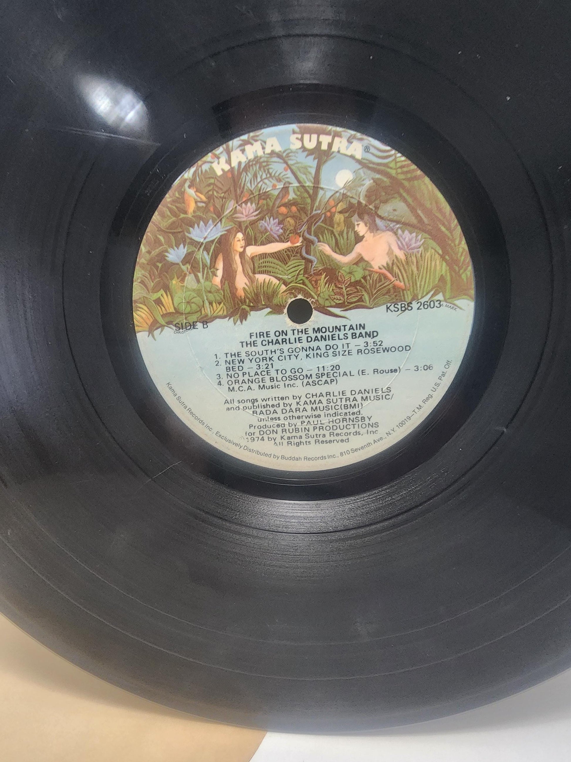 Kama Sutra Fire On The Mountain By Charlie Daniel's Band 1960s Vinyl Record - Records - LP Records - Vinyl - Vinyl Records - Kama Sutra