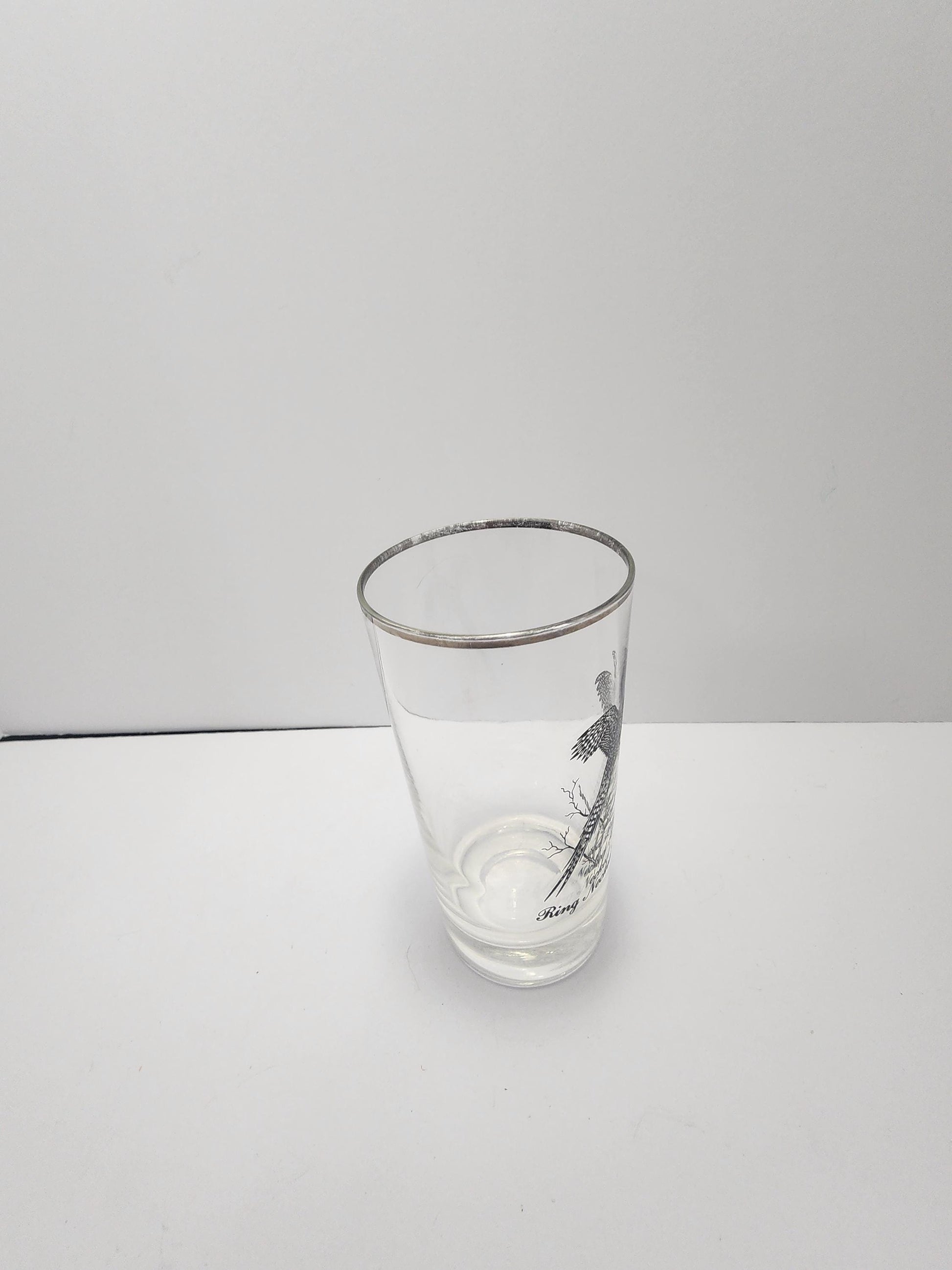 Vintage Ring Tailed Pheasant Silver Rimmed Federal Glass - Wildlife - Pheasant- Pheasant Forever - Hunting - Birds - Drinkware - Glasses