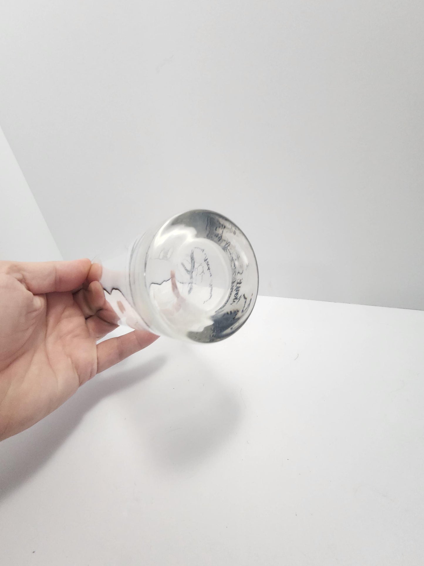 Vintage Ring Tailed Pheasant Silver Rimmed Federal Glass - Wildlife - Pheasant- Pheasant Forever - Hunting - Birds - Drinkware - Glasses