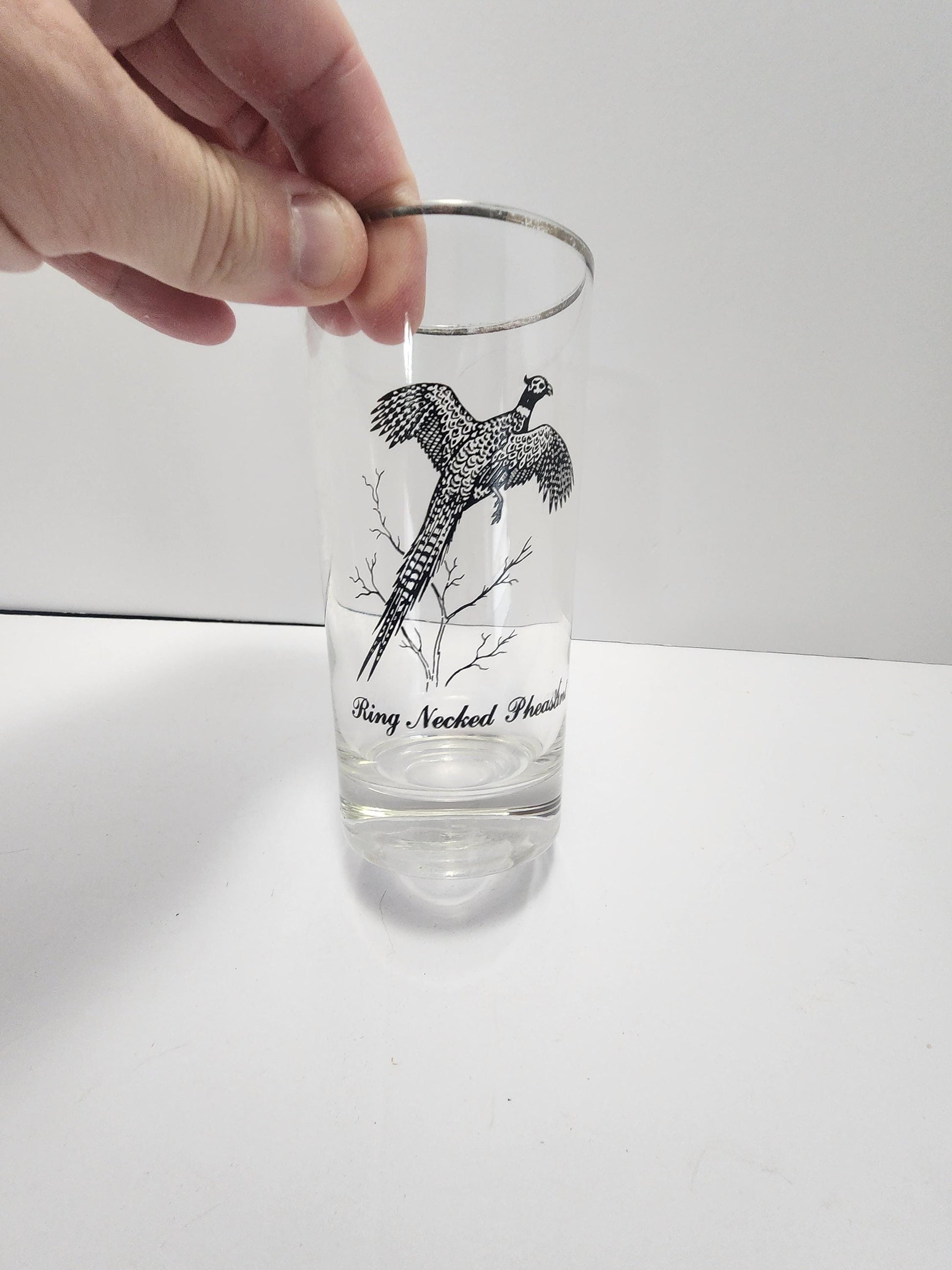 Vintage Ring Tailed Pheasant Silver Rimmed Federal Glass - Wildlife - Pheasant- Pheasant Forever - Hunting - Birds - Drinkware - Glasses