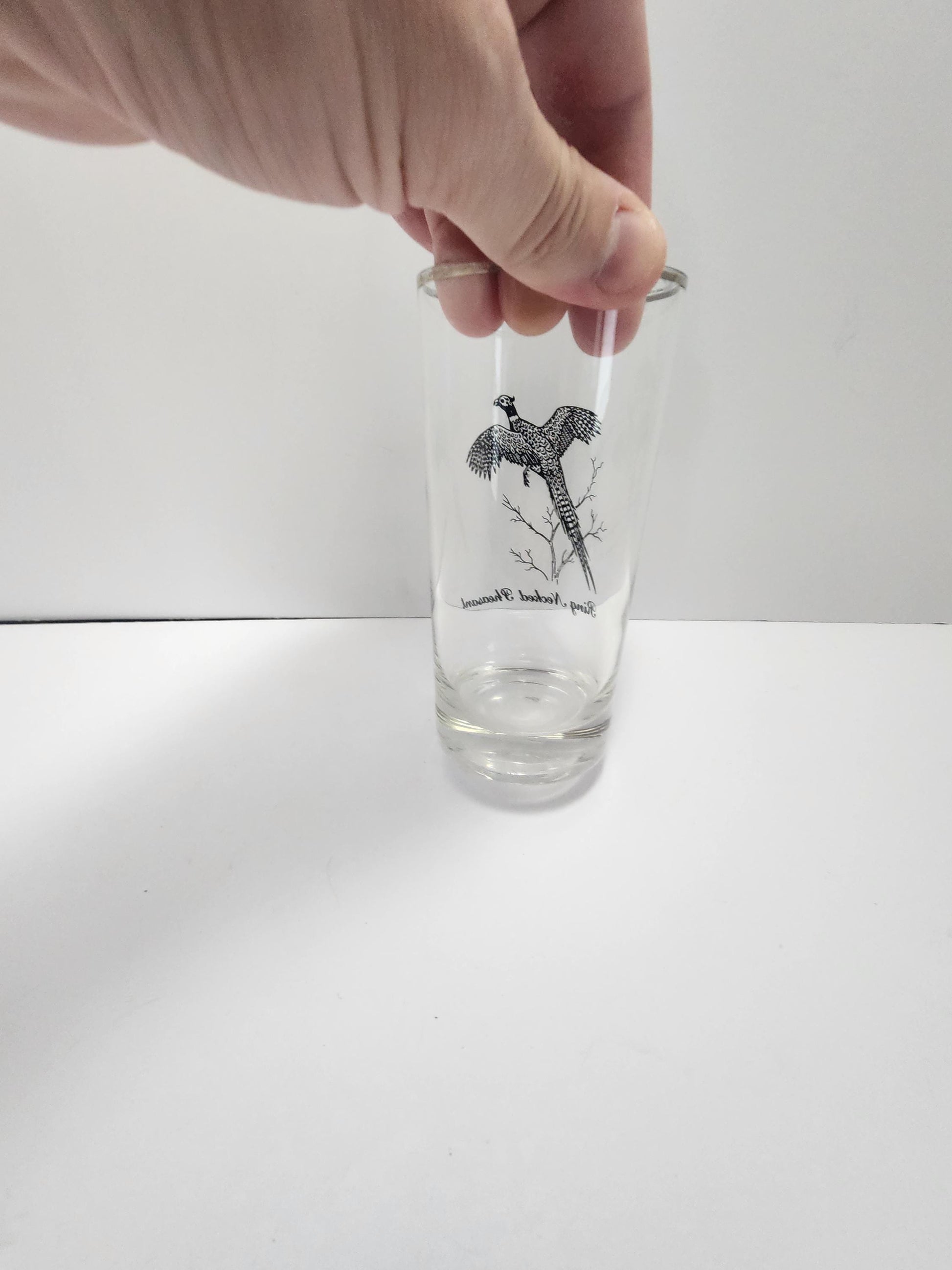 Vintage Ring Tailed Pheasant Silver Rimmed Federal Glass - Wildlife - Pheasant- Pheasant Forever - Hunting - Birds - Drinkware - Glasses