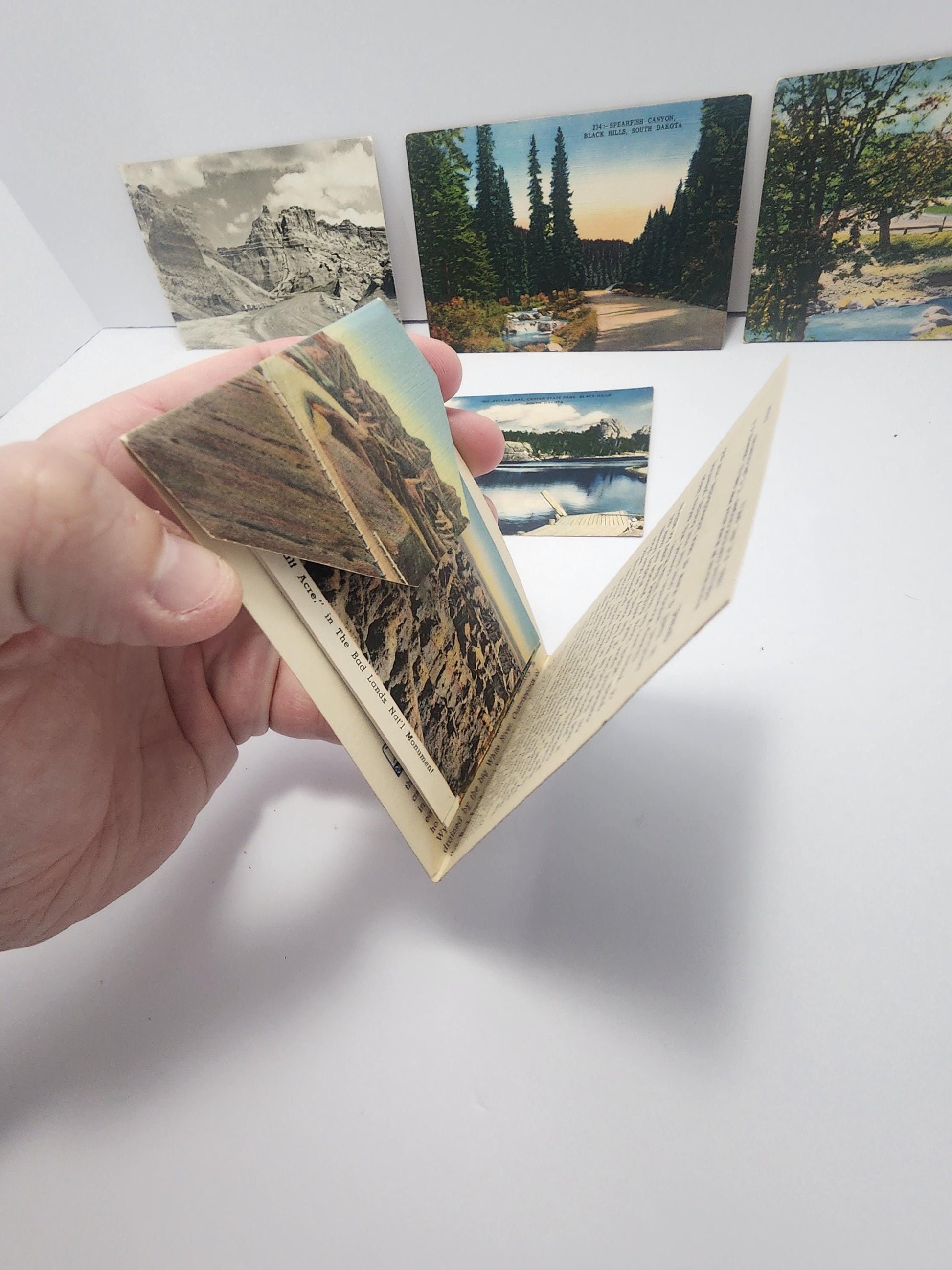 Vintage LOT Of Older Postcards - Postcards - Vintage Postcards - National Parks - National Park Postcards - Memorbilla - Traveling