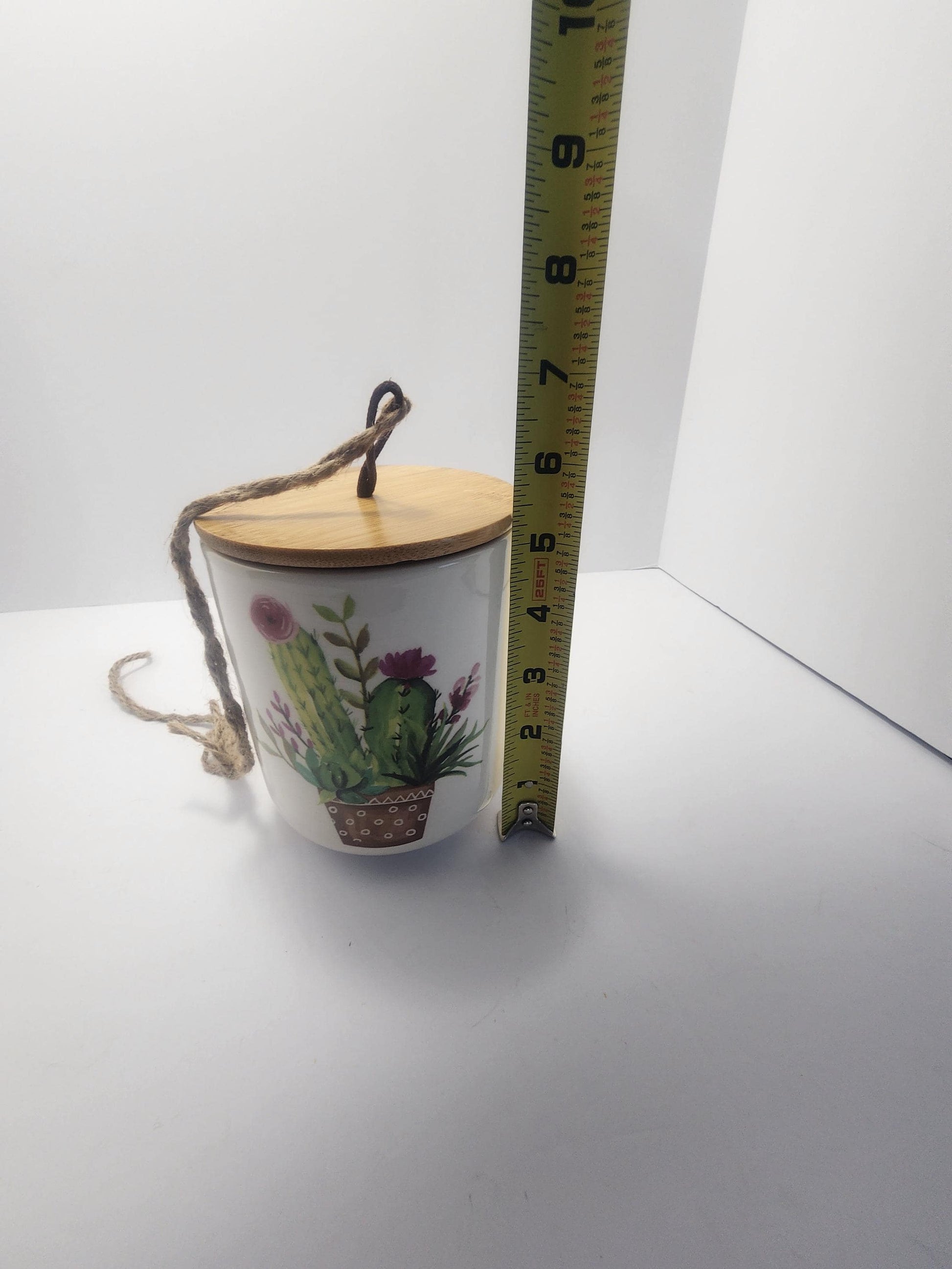 Hanging Ceramic Cactus Painted Cannister Or Planter - Hanging Decor - Decor - Ceramic Jar - Cannister - Cactus - Cactus Defor - Planters