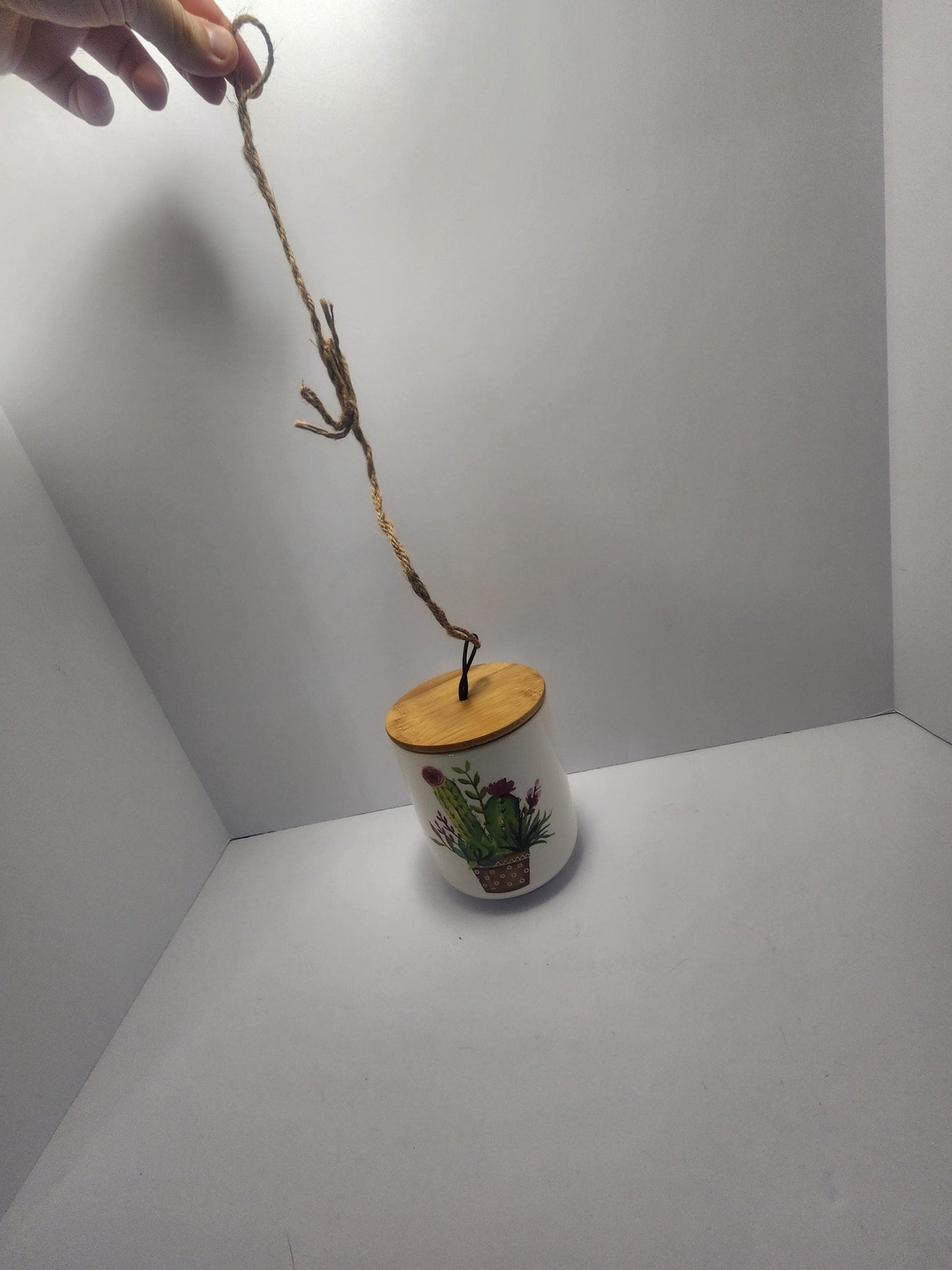 Hanging Ceramic Cactus Painted Cannister Or Planter - Hanging Decor - Decor - Ceramic Jar - Cannister - Cactus - Cactus Defor - Planters