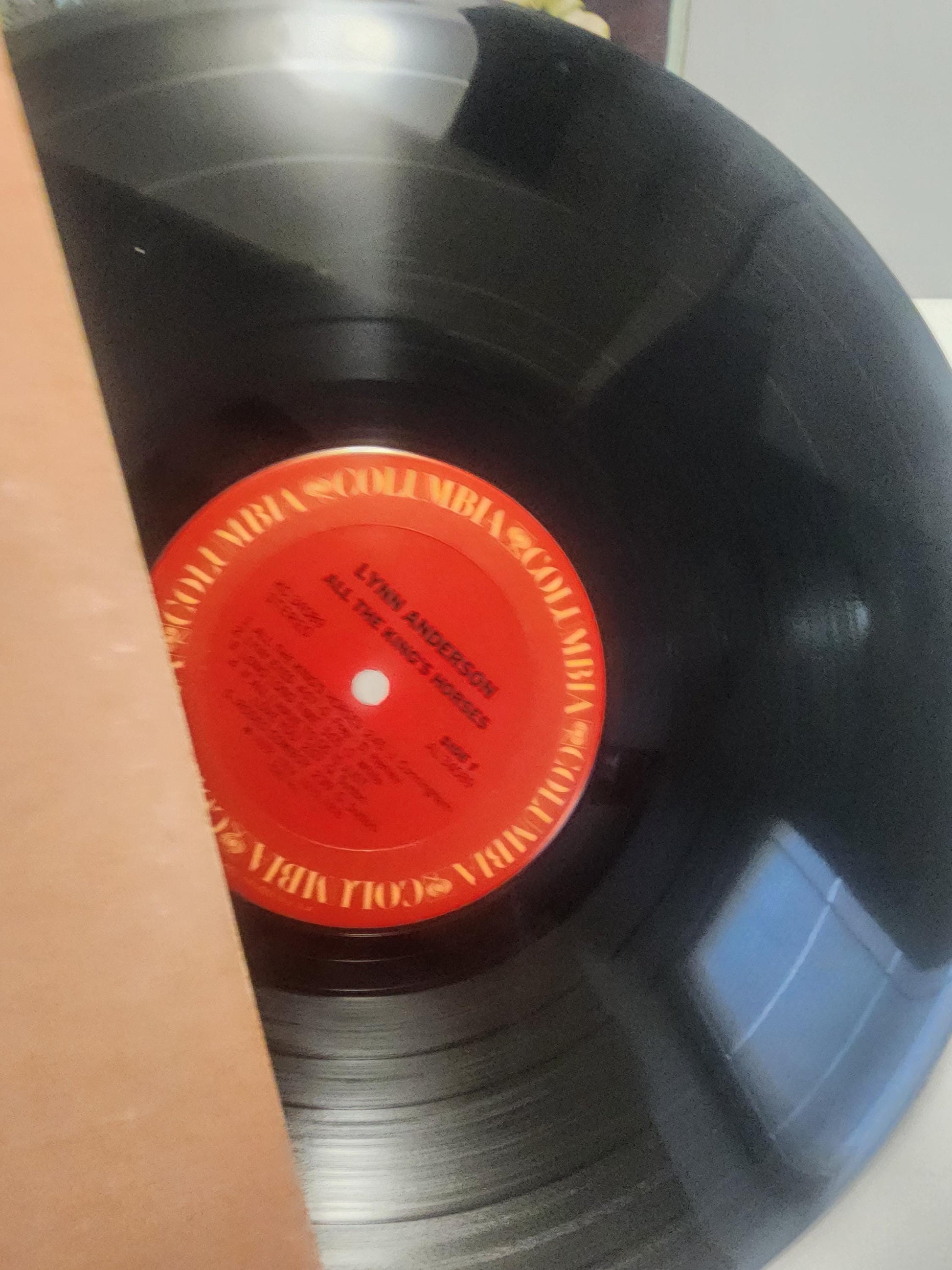 Lynn Andersen Vinyl 1980s LP Records LOT of 2 - Lynn Andersen - Vinyl - Vinyl Records - Records - LP Records - Country Music - Women Artists