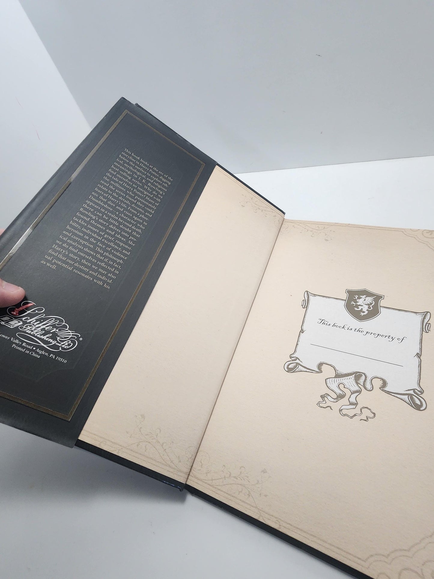 Book Into the Pensieve: The Philosophy and Mythology of Harry Potter by Patrick McCauley - Harry Potter - Harry Potter Books - JK Rowlings