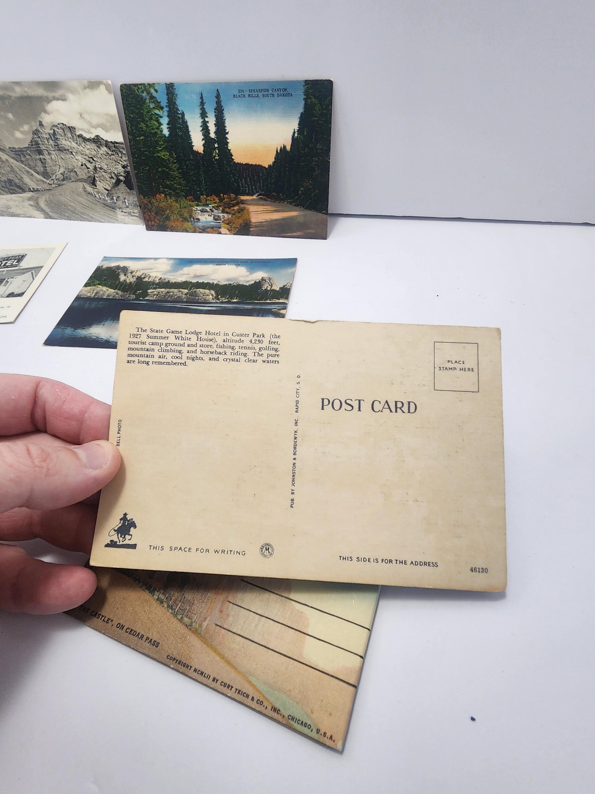 Vintage LOT Of Older Postcards - Postcards - Vintage Postcards - National Parks - National Park Postcards - Memorbilla - Traveling