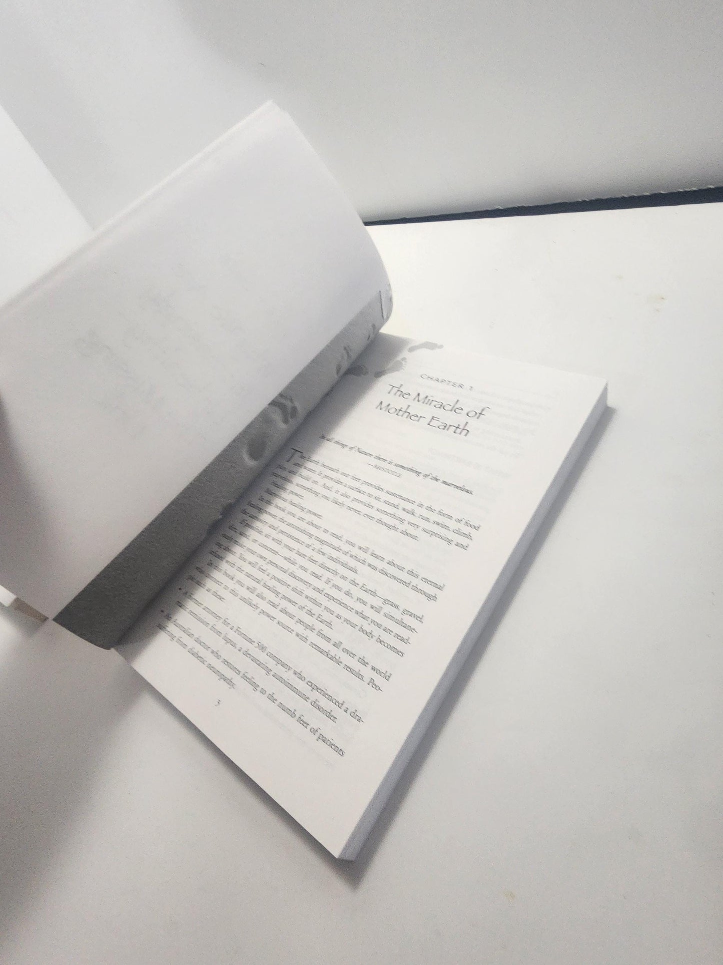 Animal & Earth Science Books - Earthing - Earth - Earth Books - Science - Science Books - Animals - Kingdom Of Play