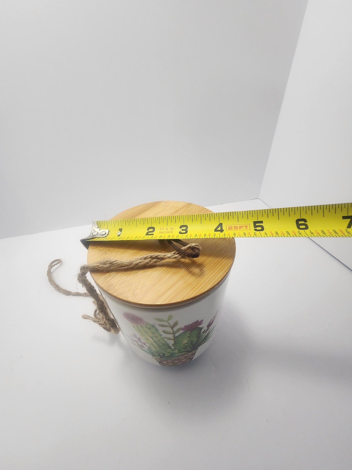 Hanging Ceramic Cactus Painted Cannister Or Planter - Hanging Decor - Decor - Ceramic Jar - Cannister - Cactus - Cactus Defor - Planters