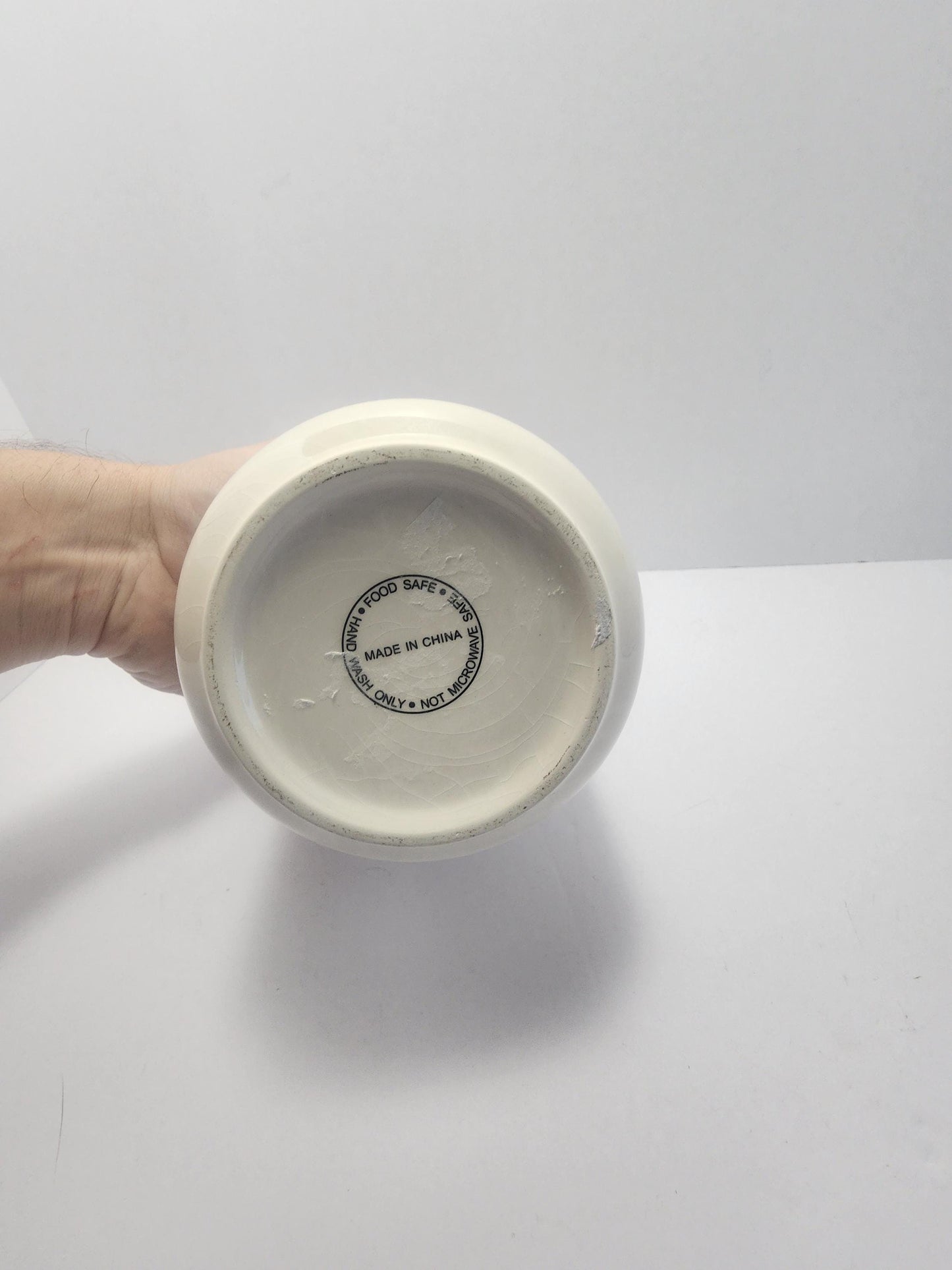 Hanging Ceramic Cactus Painted Cannister Or Planter - Hanging Decor - Decor - Ceramic Jar - Cannister - Cactus - Cactus Defor - Planters