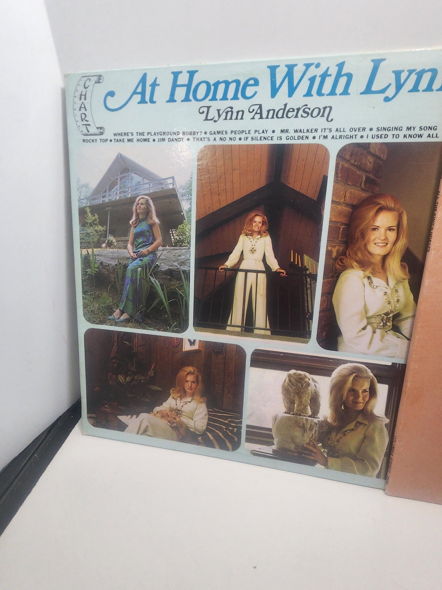 Lynn Andersen Vinyl 1980s LP Records LOT of 2 - Lynn Andersen - Vinyl - Vinyl Records - Records - LP Records - Country Music - Women Artists
