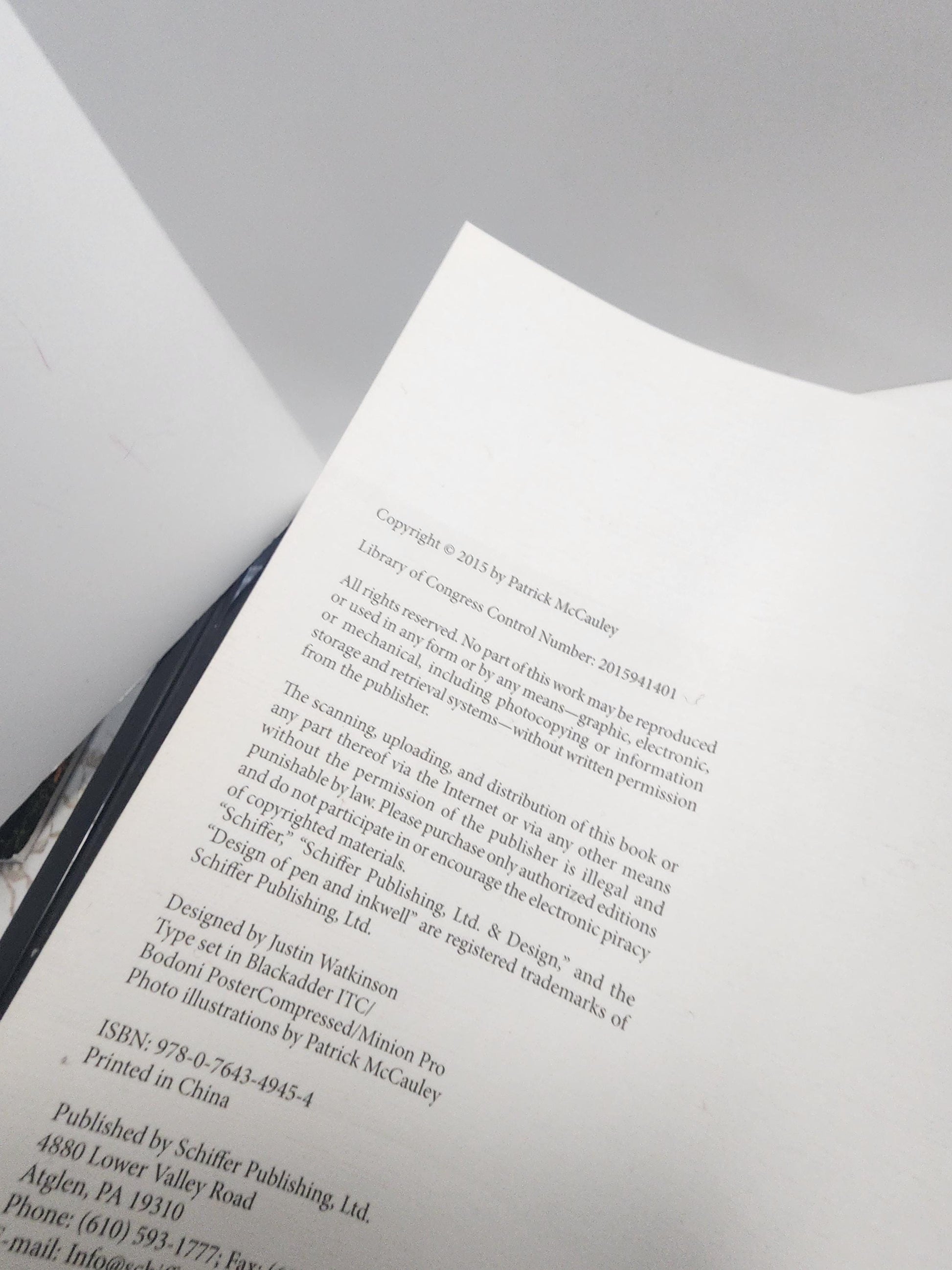 Book Into the Pensieve: The Philosophy and Mythology of Harry Potter by Patrick McCauley - Harry Potter - Harry Potter Books - JK Rowlings