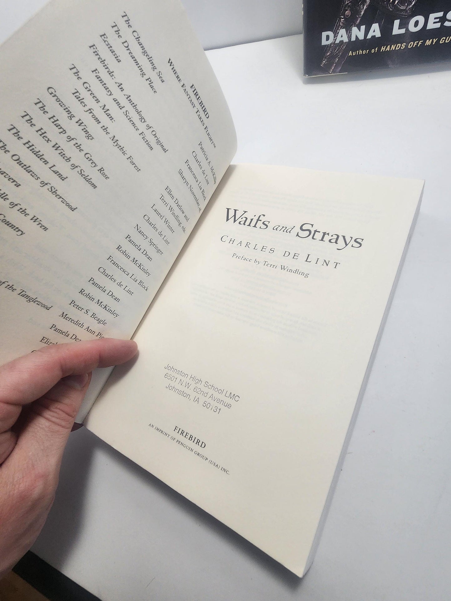 The Book Of Waifs And Strays By Charles De Lint - Urban Fantasy - Short Stories - Charles De Lint - Book Of Waifs - Waifs And Strays - Books