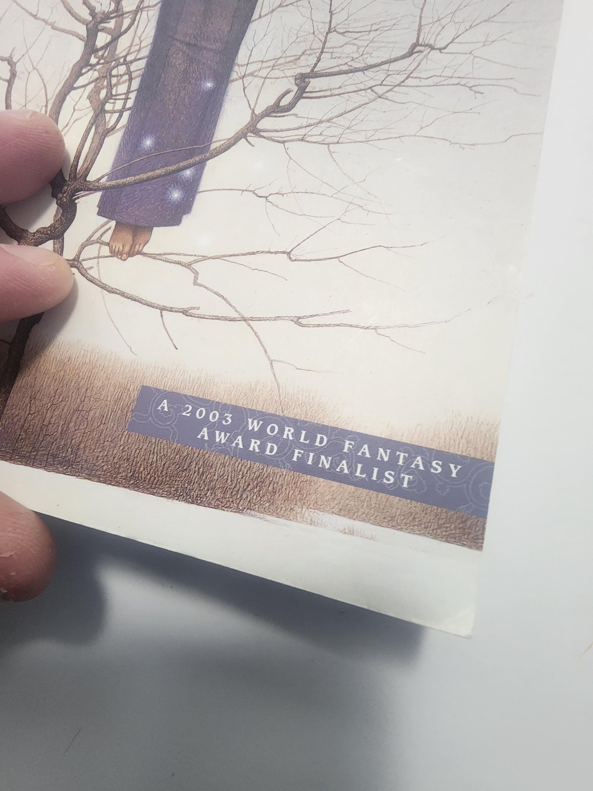 The Book Of Waifs And Strays By Charles De Lint - Urban Fantasy - Short Stories - Charles De Lint - Book Of Waifs - Waifs And Strays - Books