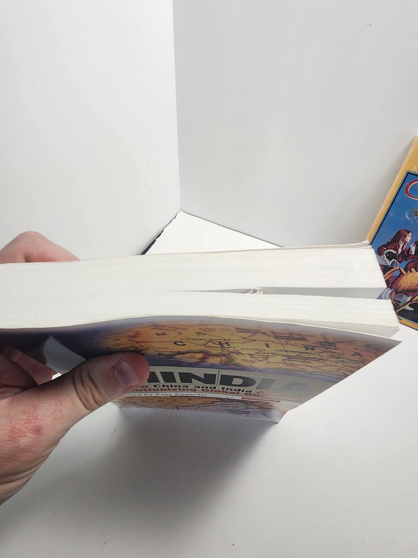 Chindia: How China and India Are Revolutionizing Global Business - China - India - World Books - Global Business - Business Books