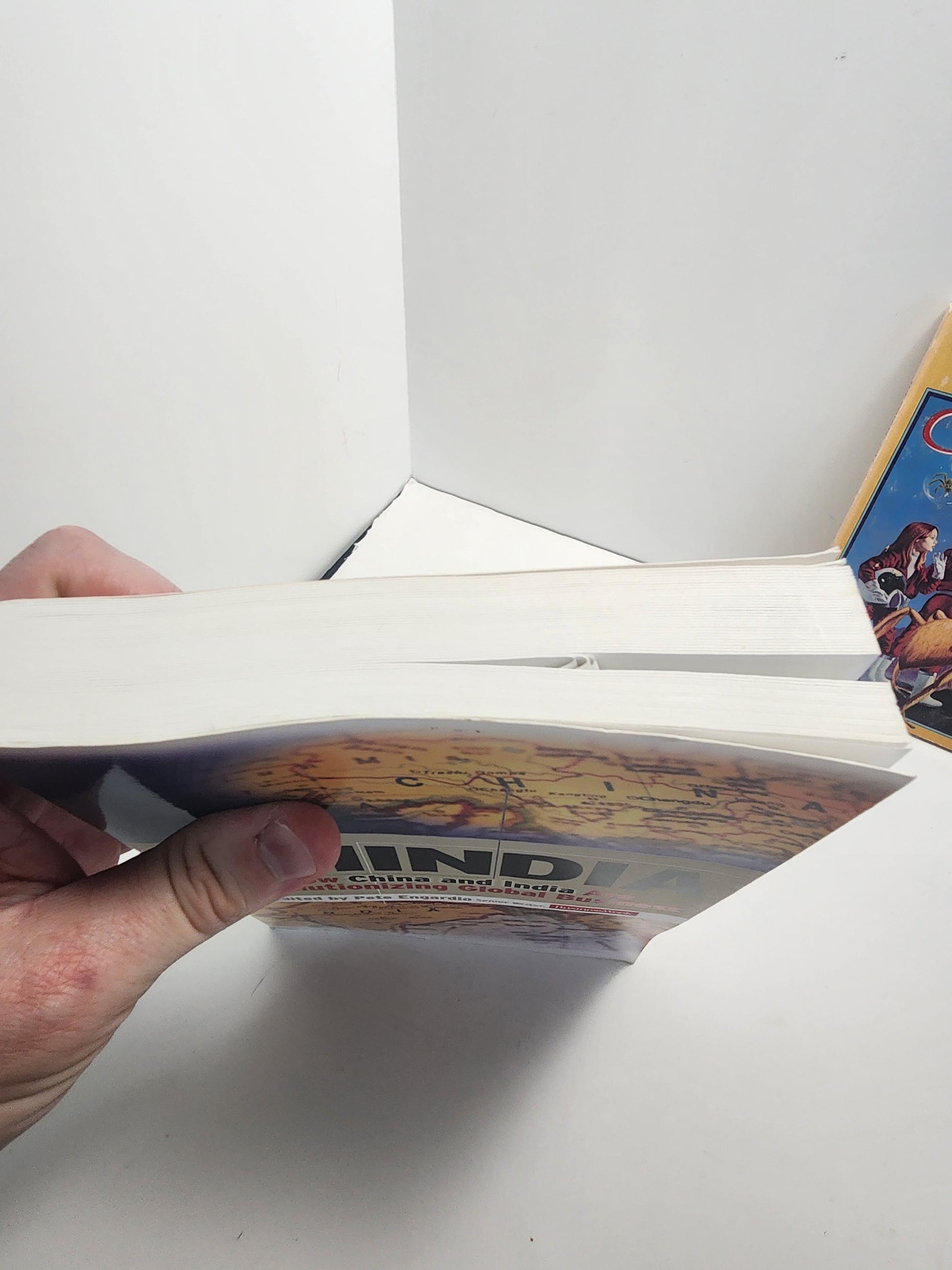 Chindia: How China and India Are Revolutionizing Global Business - China - India - World Books - Global Business - Business Books