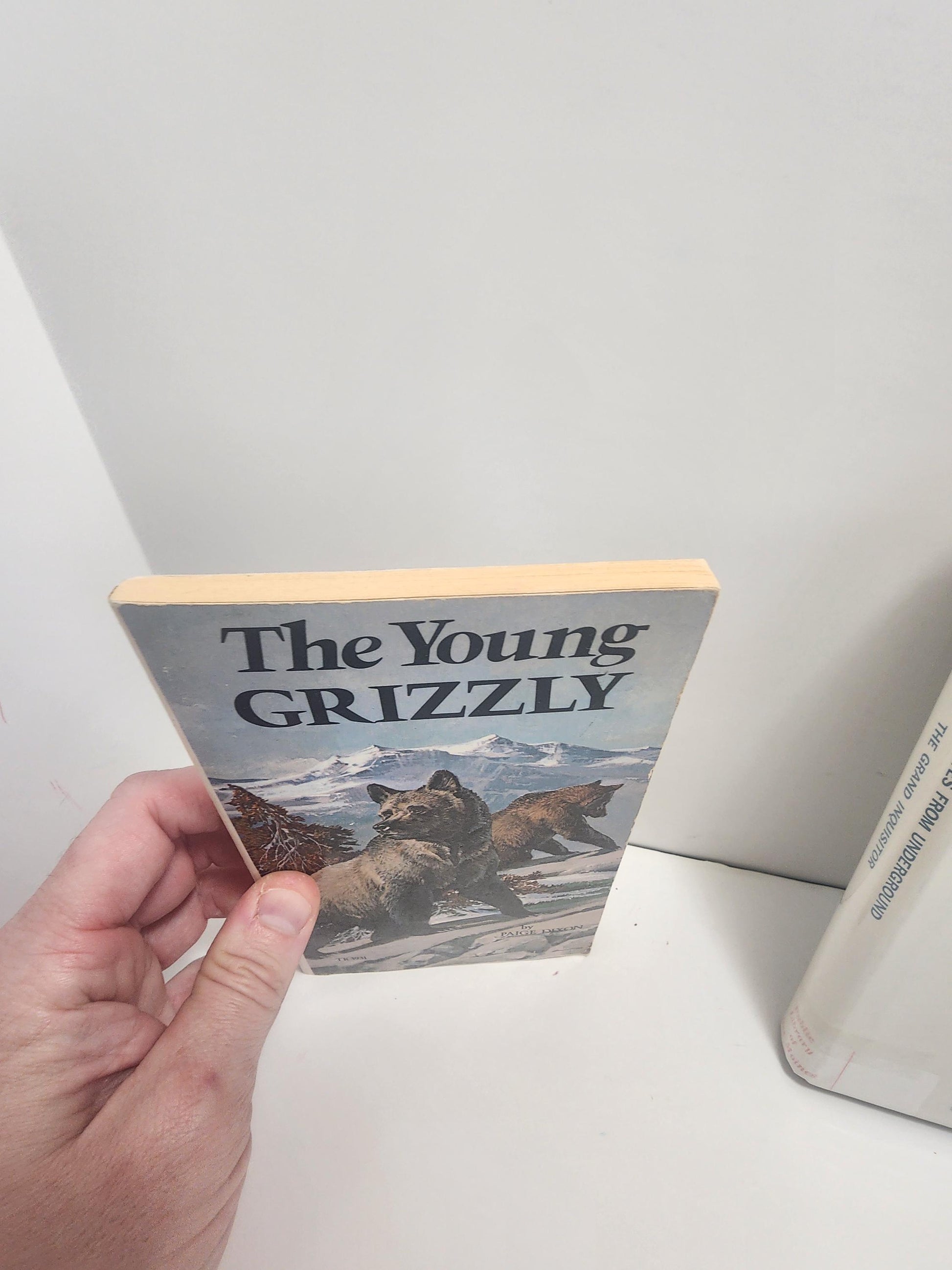 1974 The Young Grizzly By Paige Dixon - Paige Dixon - The Young Grizzly - 1970s - Vintage Books - Paperback Books - Paige Dixon Books