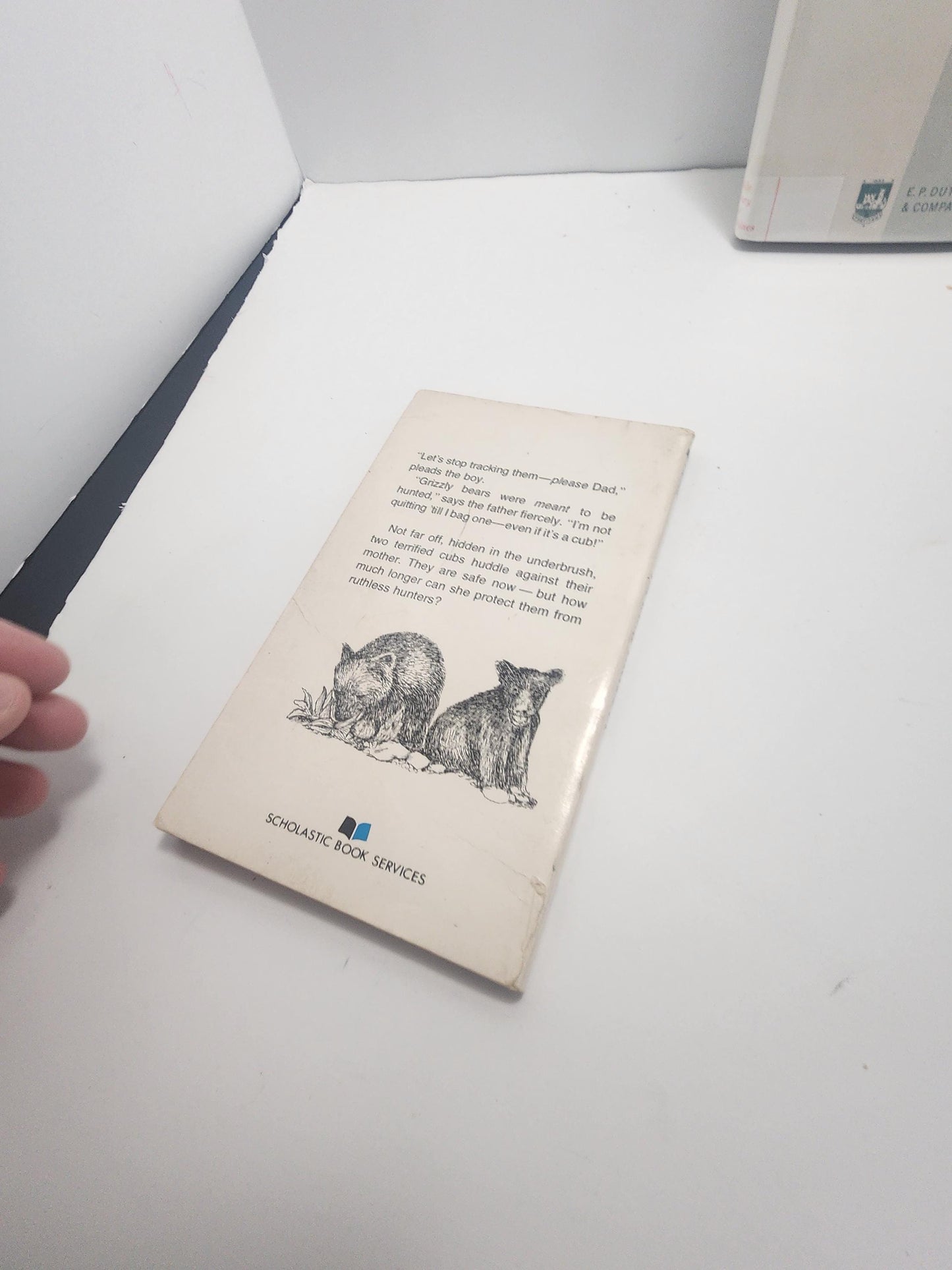 1974 The Young Grizzly By Paige Dixon - Paige Dixon - The Young Grizzly - 1970s - Vintage Books - Paperback Books - Paige Dixon Books