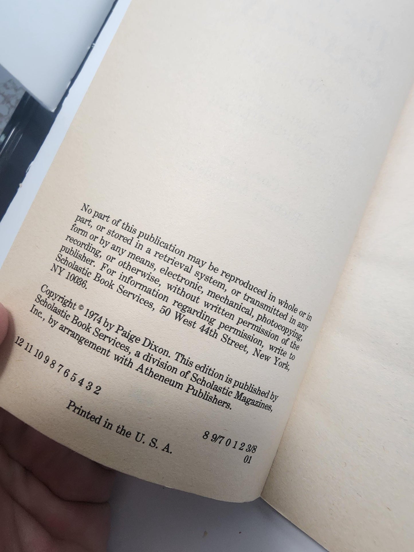 1974 The Young Grizzly By Paige Dixon - Paige Dixon - The Young Grizzly - 1970s - Vintage Books - Paperback Books - Paige Dixon Books