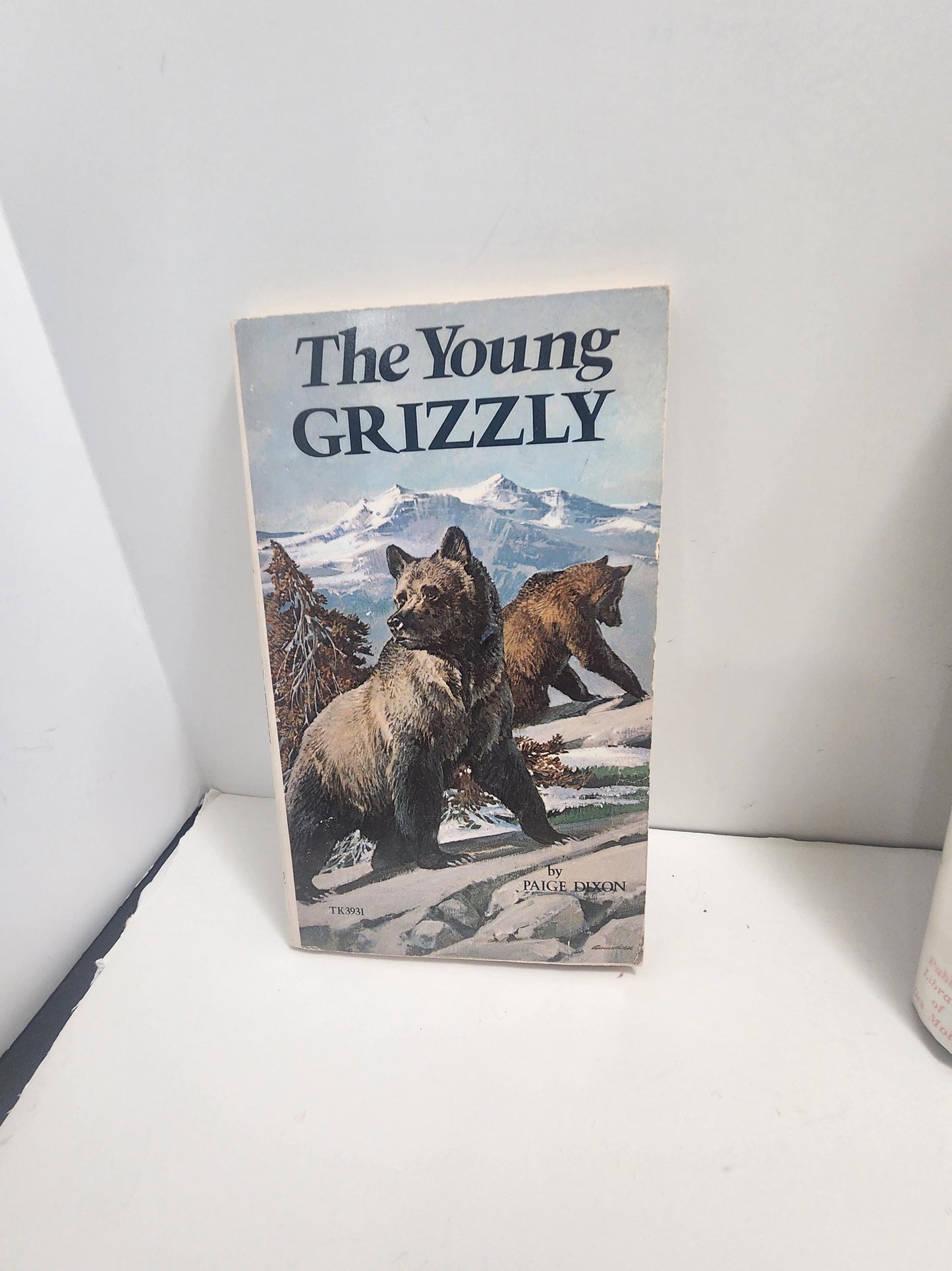 1974 The Young Grizzly By Paige Dixon - Paige Dixon - The Young Grizzly - 1970s - Vintage Books - Paperback Books - Paige Dixon Books