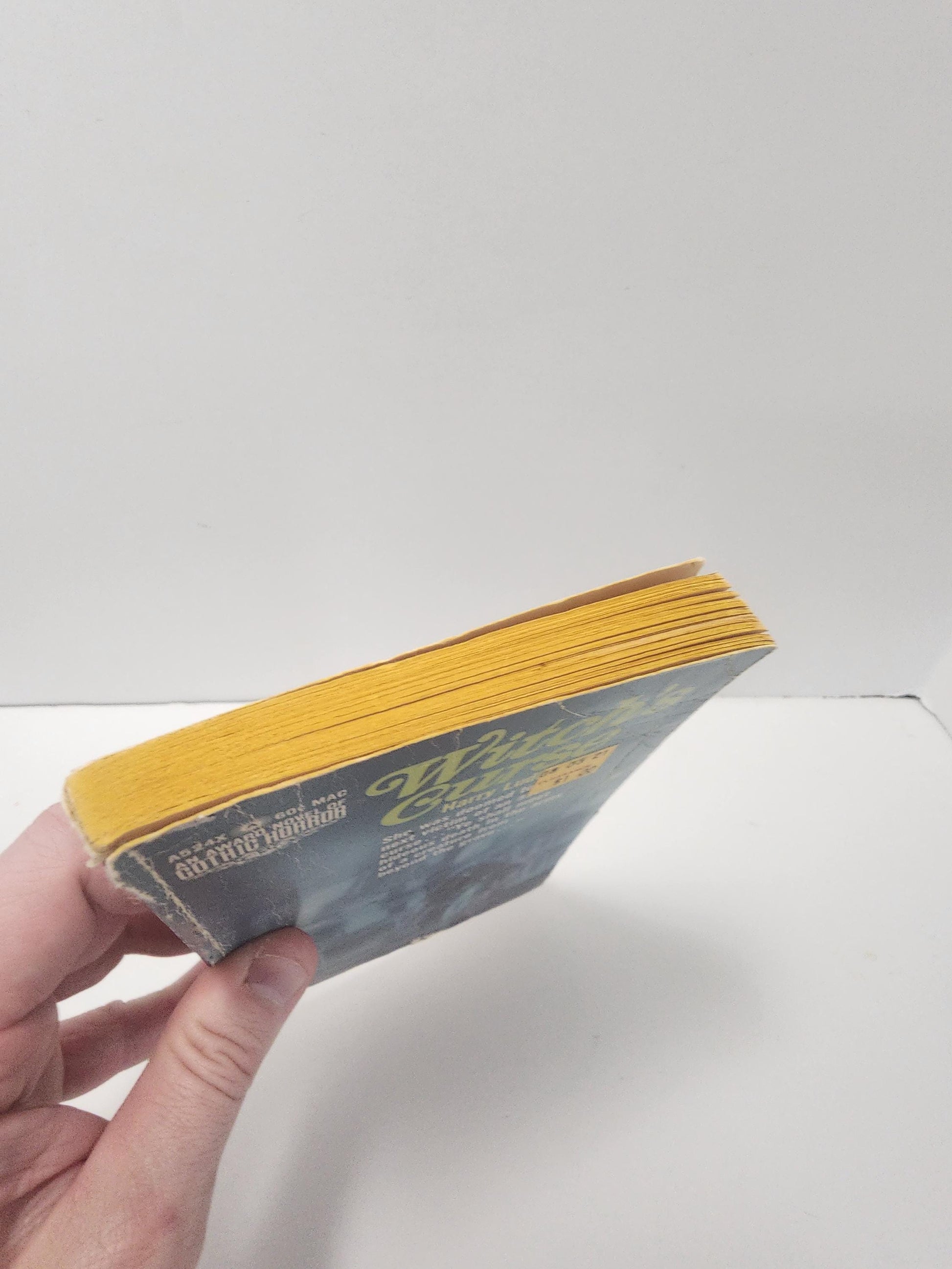 1968 The Witch's Curse By Harry Ludos - Award Winning Books - The Witch's Curse - Harry Ludos - Paperback Books - Vintage Books