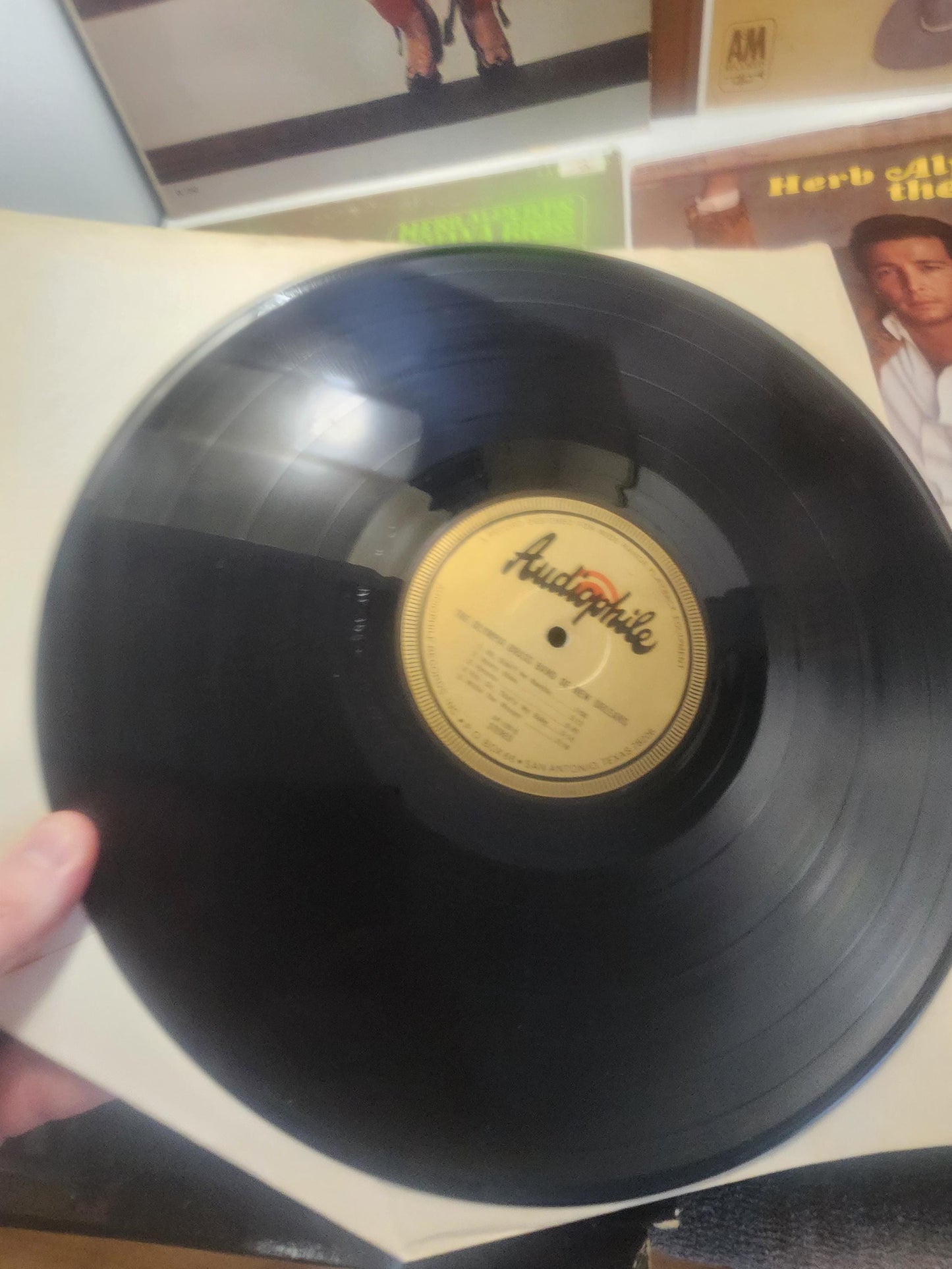 Brass Trumpets Instruments Vintage 1970's 1980's Vinyl LP Records LOT Of 7 - Vinyl - Tijuana Brass - Brass Instruments - Vinyl LP Records