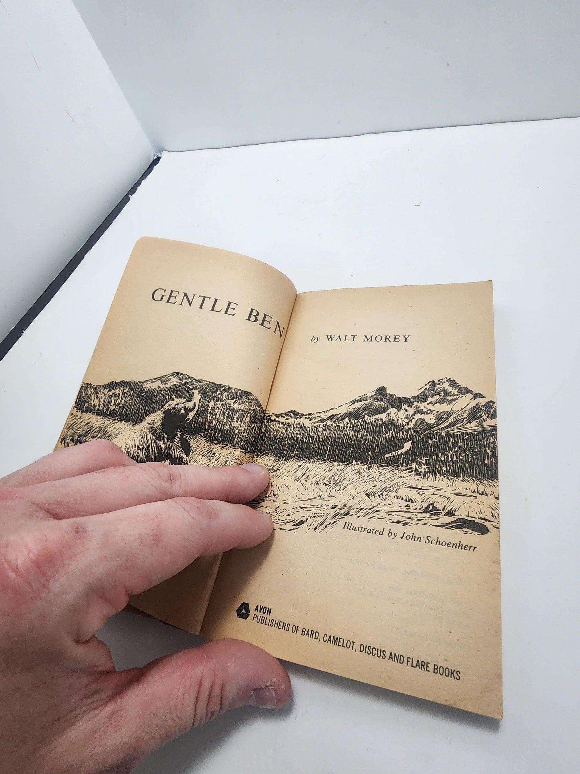 1965 Gentle Ben By Walt Morey - Walt Morey - Walt Morey Books - 1960's - Vintage Books - Paperbafk Books - Gentle Ben - Gentle Ben Book