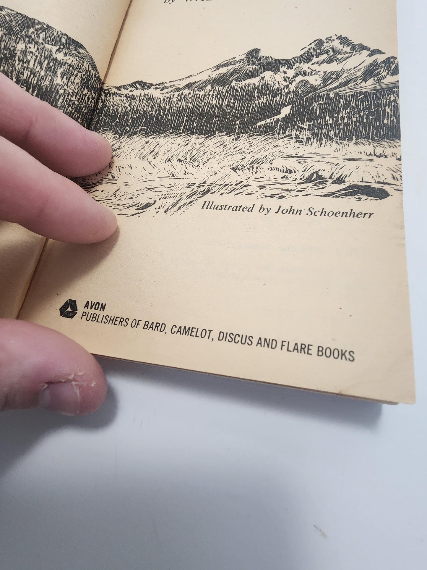 1965 Gentle Ben By Walt Morey - Walt Morey - Walt Morey Books - 1960's - Vintage Books - Paperbafk Books - Gentle Ben - Gentle Ben Book