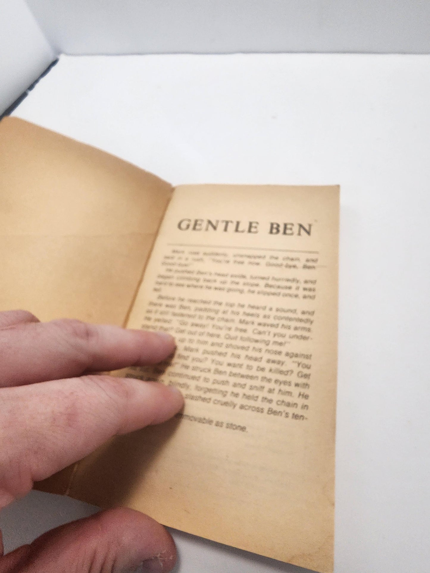 1965 Gentle Ben By Walt Morey - Walt Morey - Walt Morey Books - 1960's - Vintage Books - Paperbafk Books - Gentle Ben - Gentle Ben Book