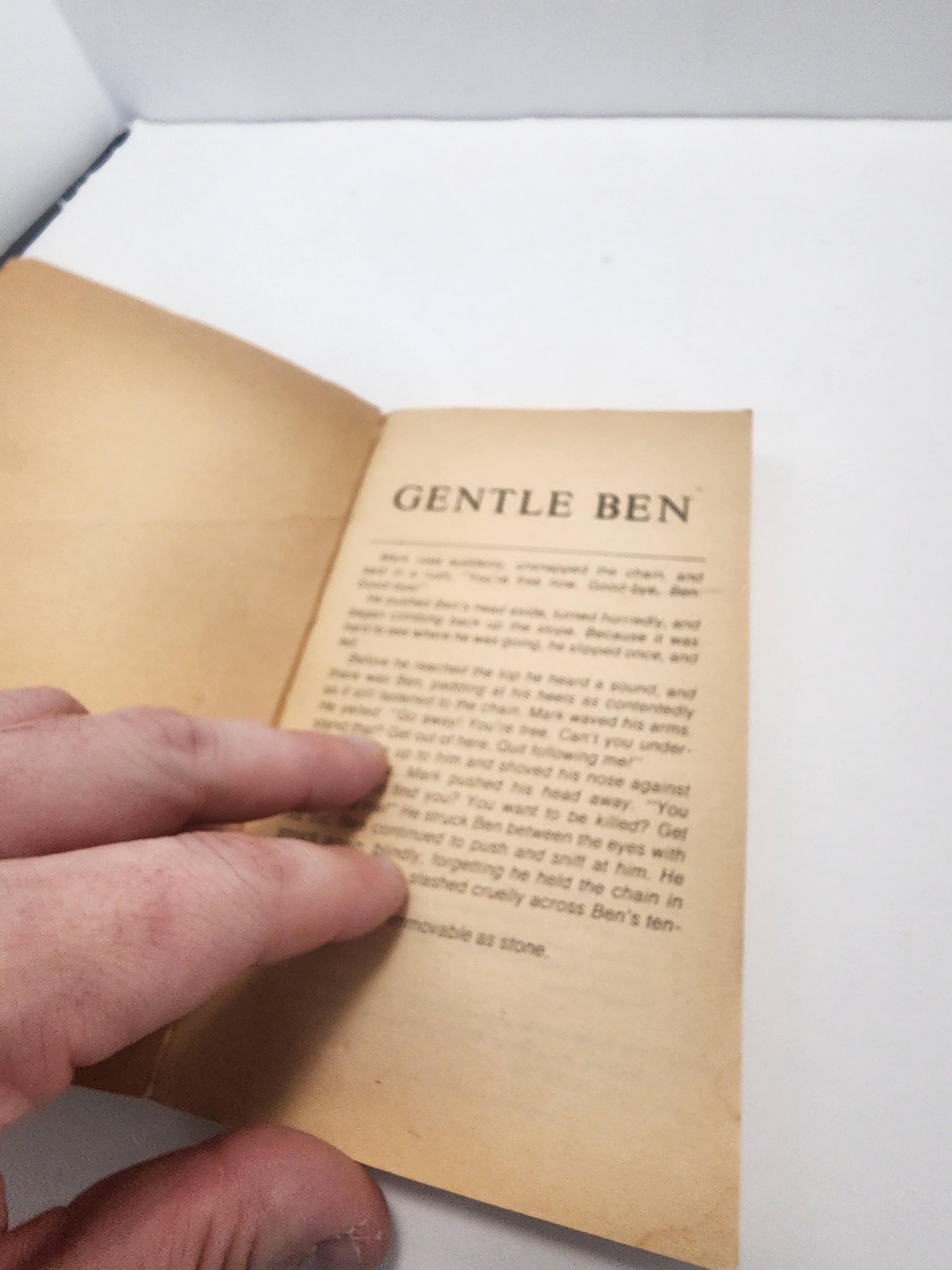 1965 Gentle Ben By Walt Morey - Walt Morey - Walt Morey Books - 1960's - Vintage Books - Paperbafk Books - Gentle Ben - Gentle Ben Book