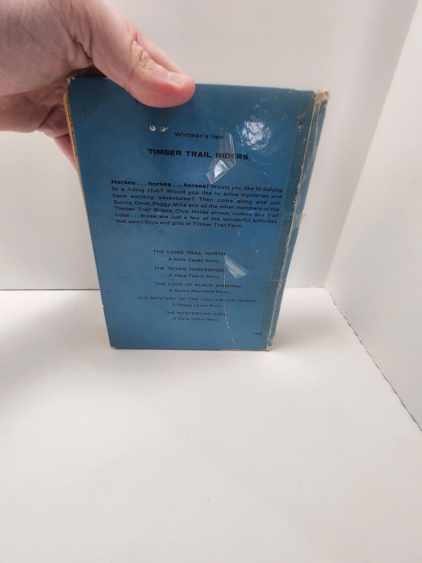 1950's Classic Lassie And The Secret Of Summer Vintage Book - Books - Vintage Books - Lassie - Lassie Book